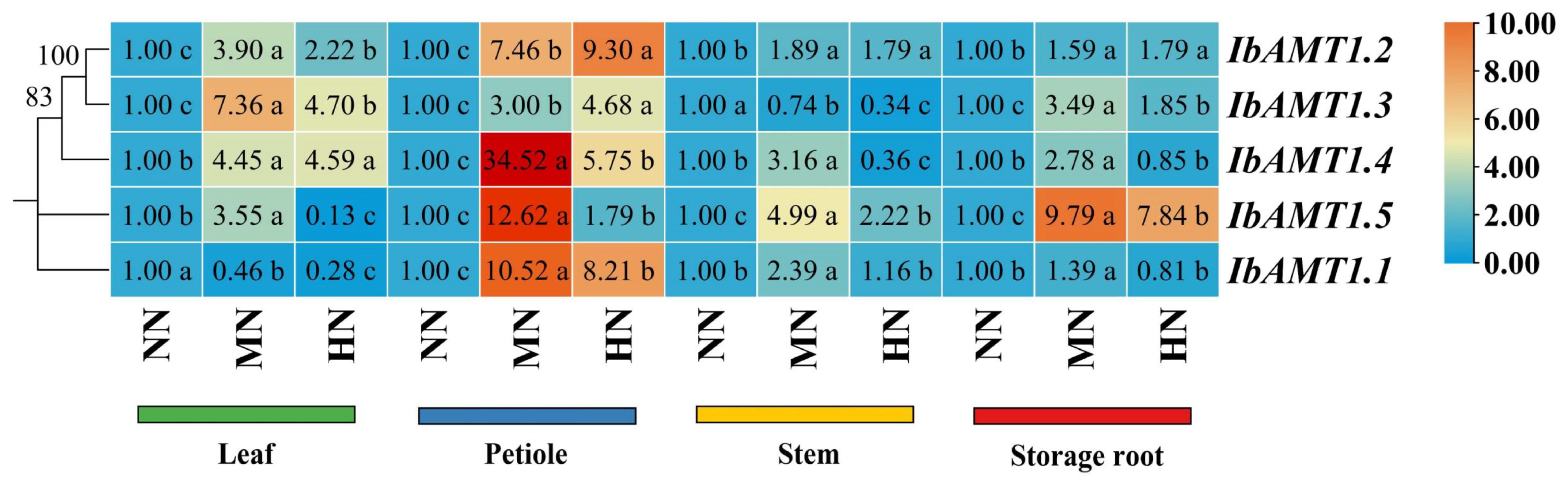 Ijms 24 17424 g010 Ijms 24 17424 g010