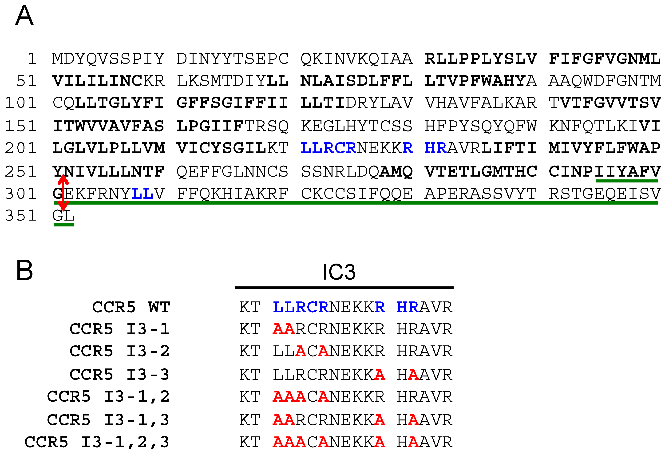 brain test nível 295