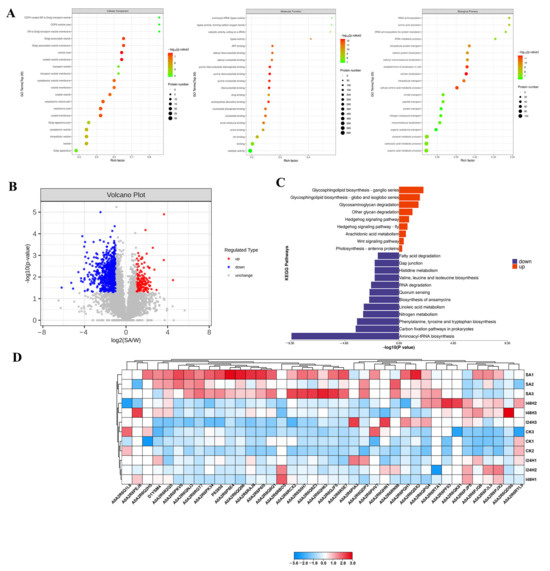 A 4D Proteome Investigation of the Potential Mechanisms of