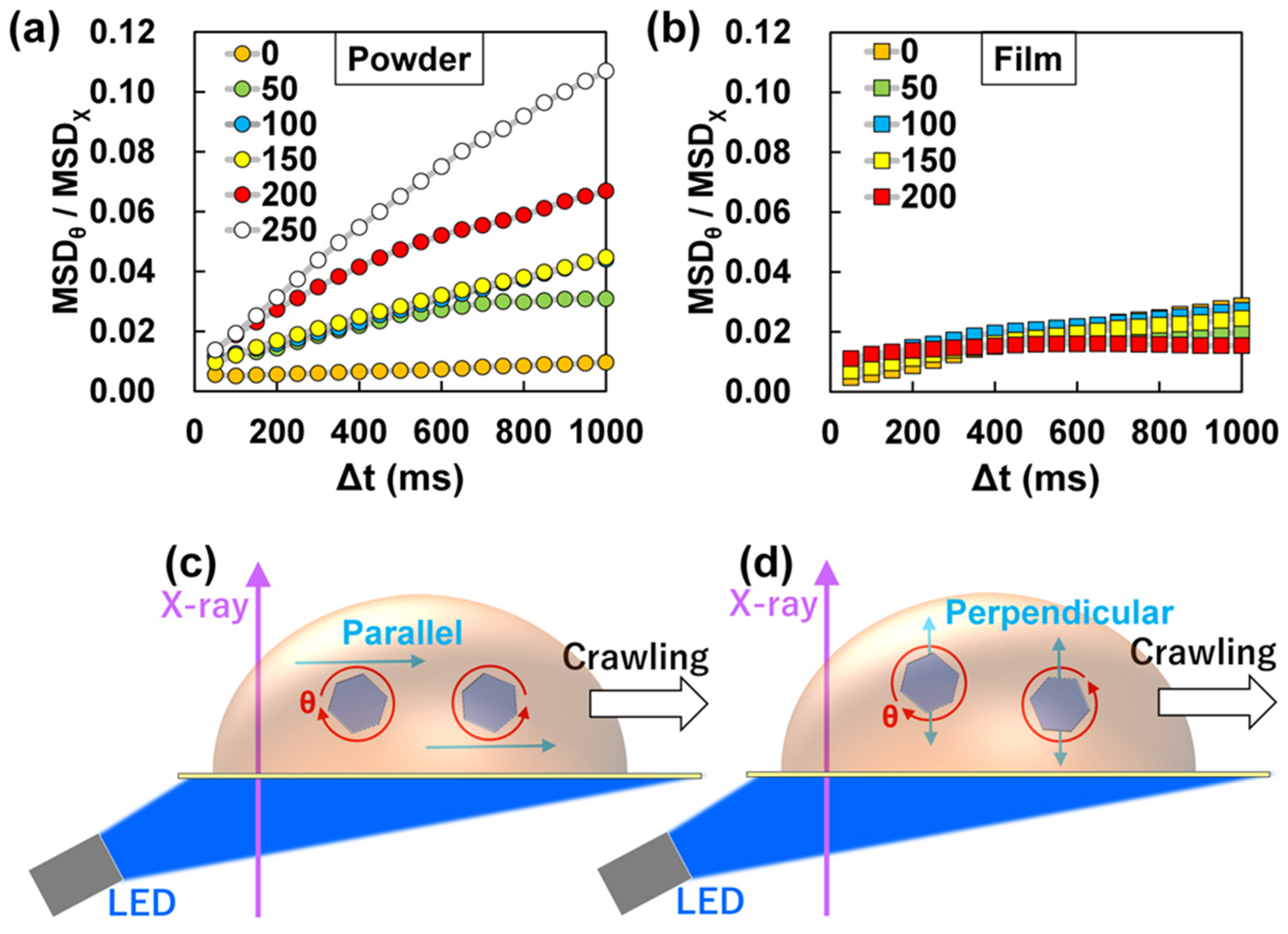 Visualization of the Dynamics of Photoinduced Crawling