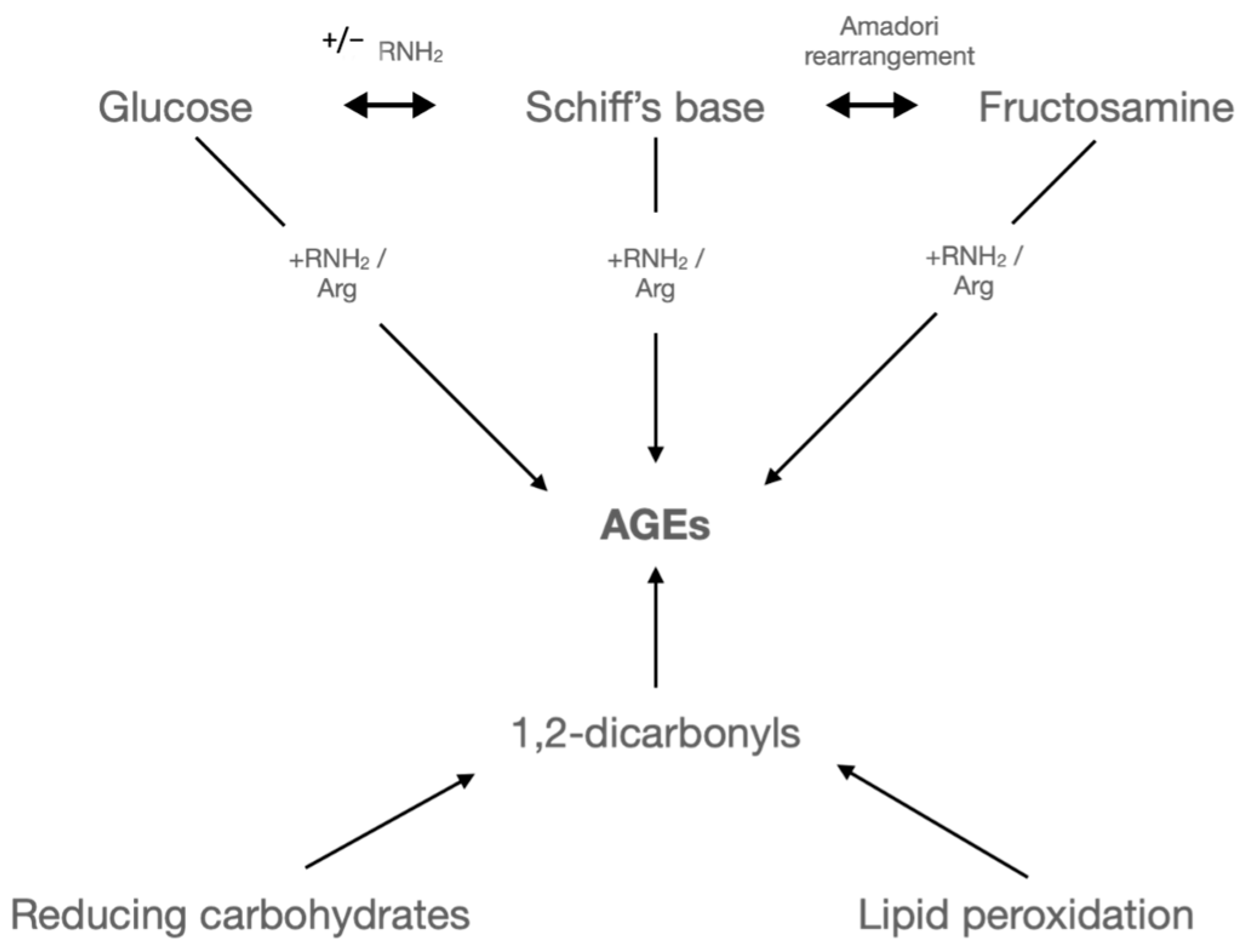 Ijms 24 17465 g001 Ijms 24 17465 g001