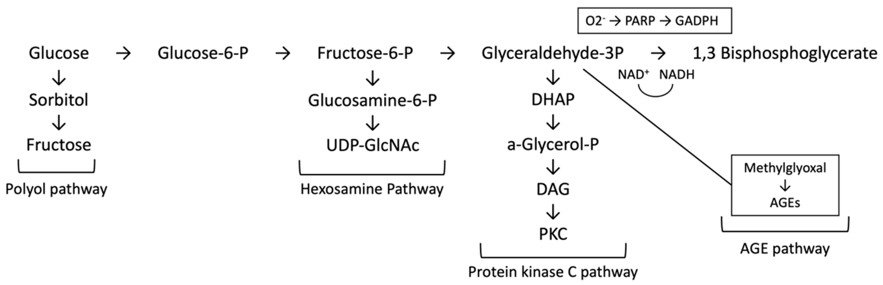 Ijms 24 17465 g002 Ijms 24 17465 g002