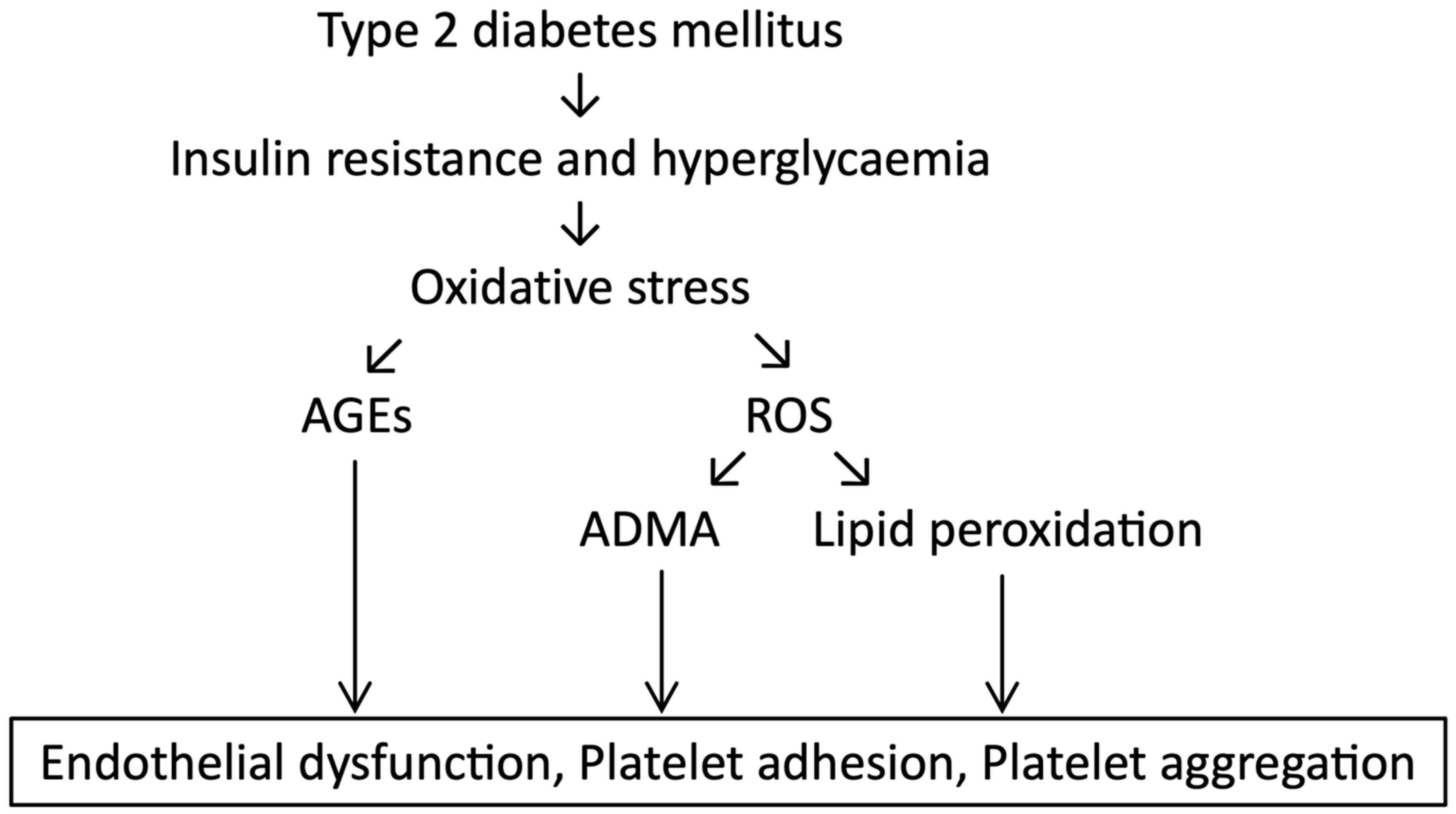 Ijms 24 17465 g003 Ijms 24 17465 g003