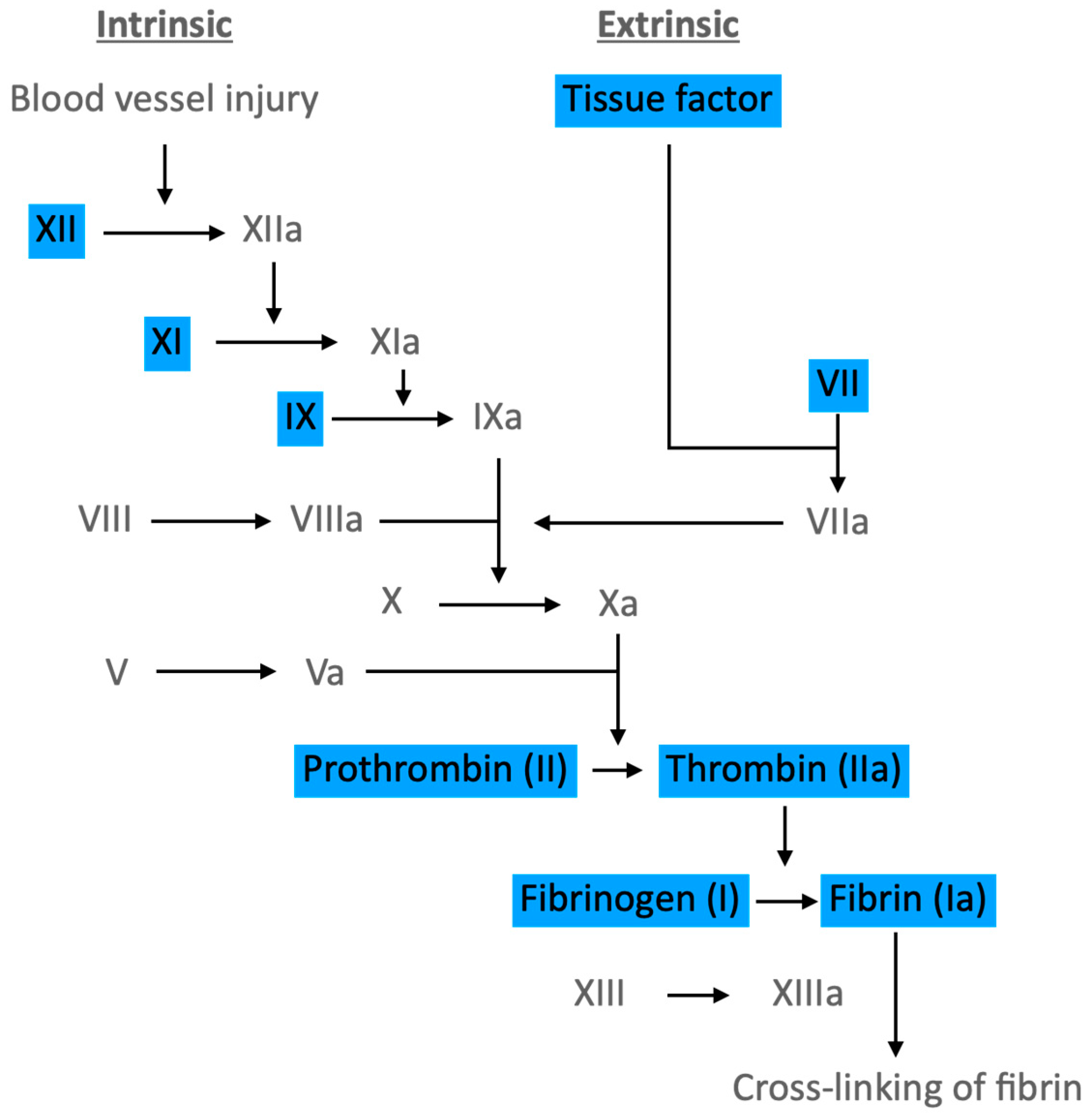Ijms 24 17465 g004 Ijms 24 17465 g004