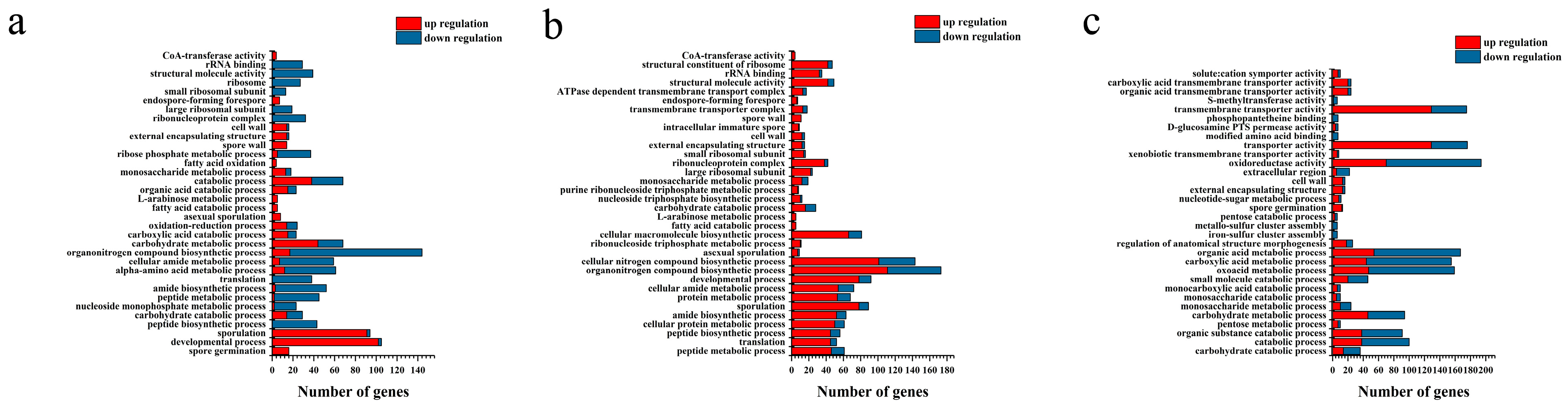 Ijms 24 17472 g004 Ijms 24 17472 g004