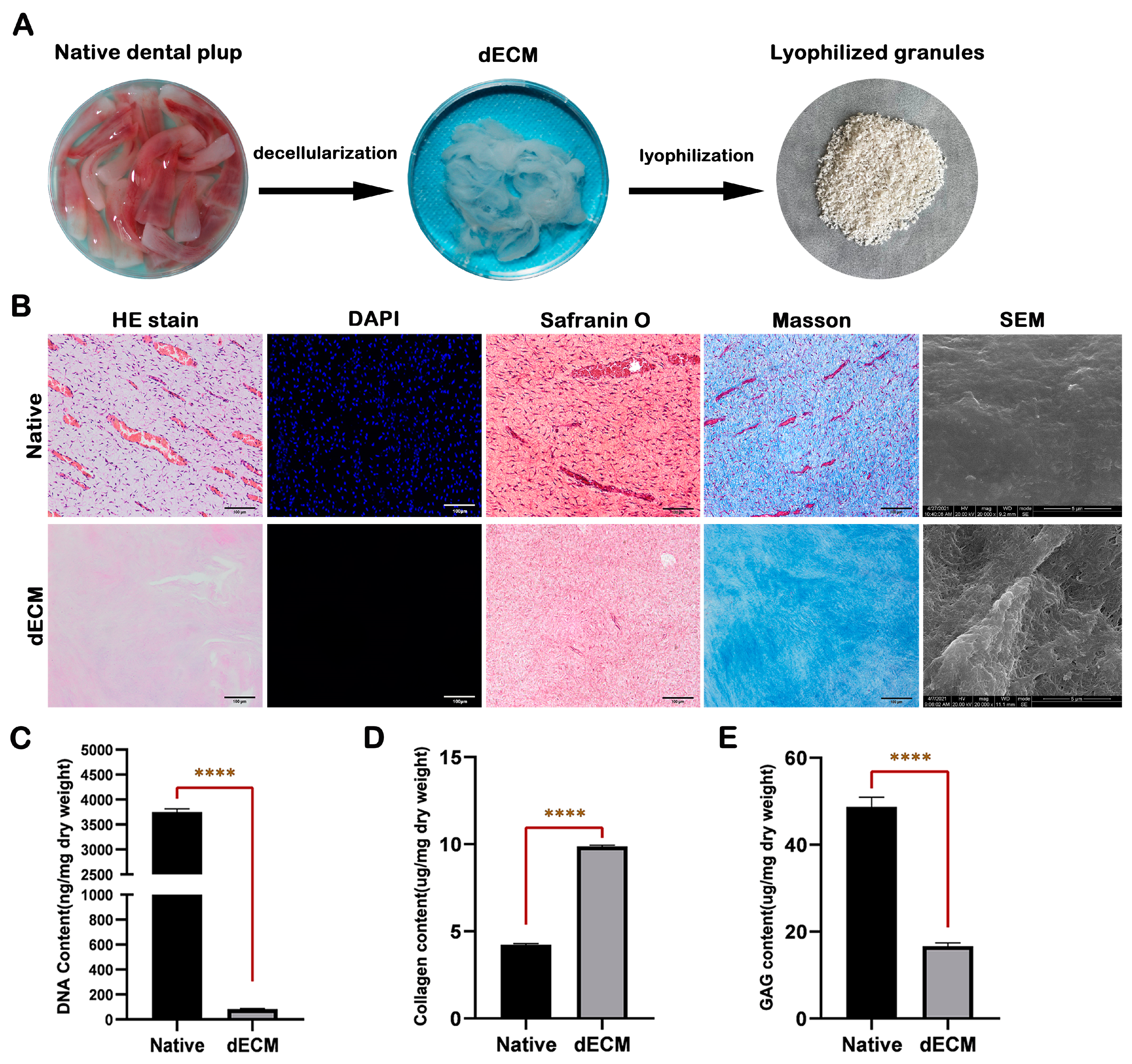 Ijms 24 17483 g001 Ijms 24 17483 g001