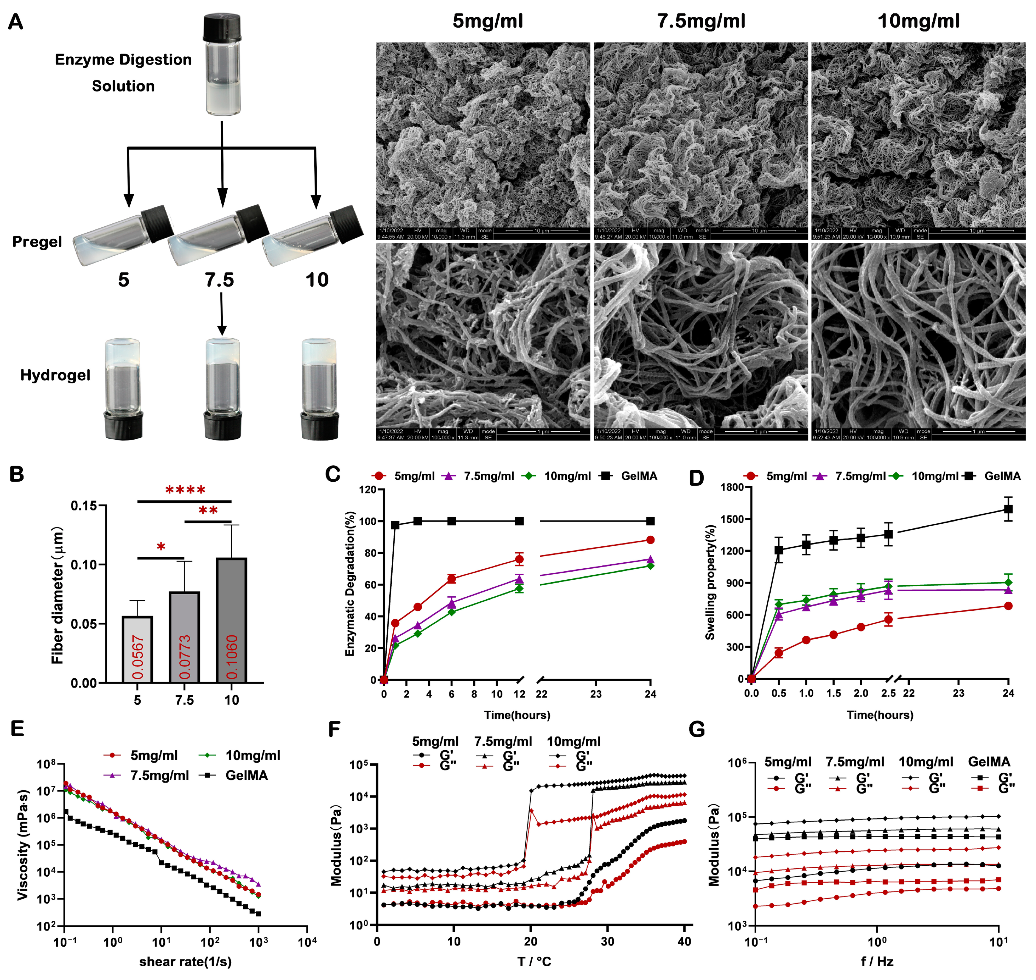 Ijms 24 17483 g002 Ijms 24 17483 g002