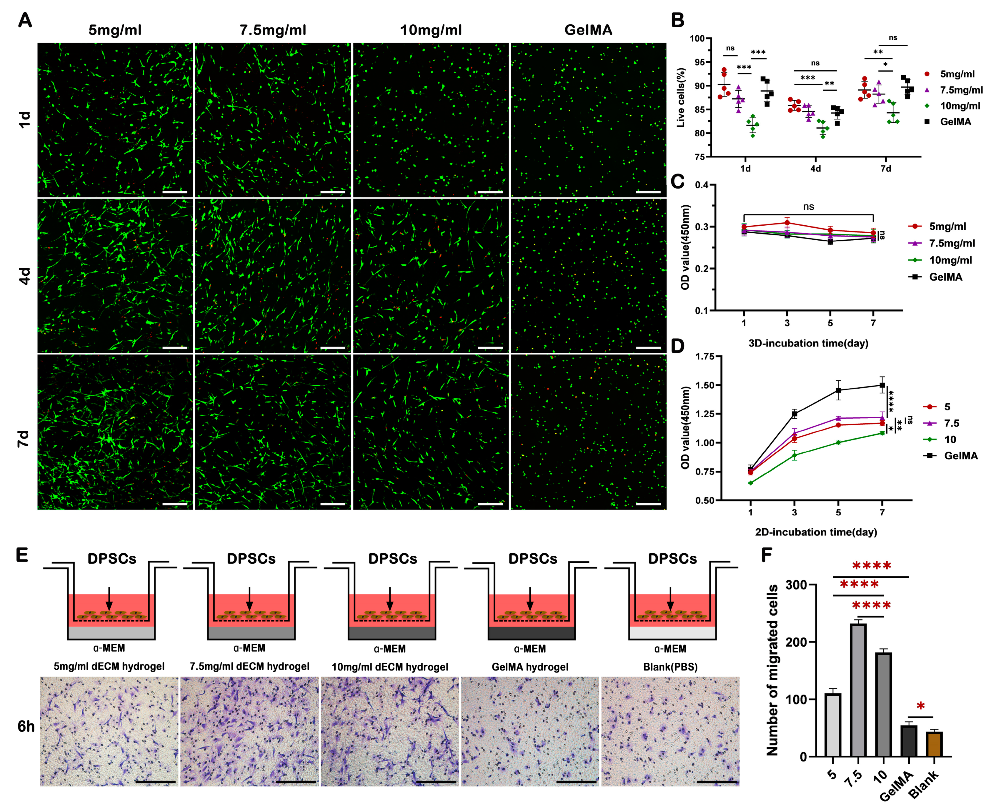Ijms 24 17483 g003 Ijms 24 17483 g003