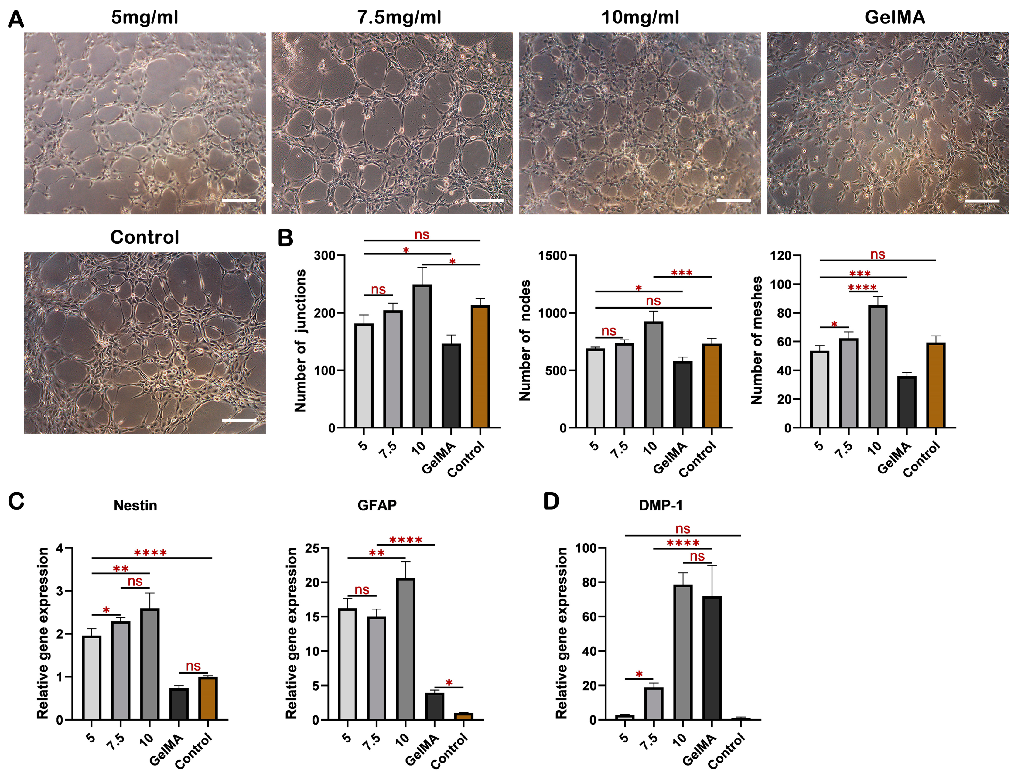 Ijms 24 17483 g004 Ijms 24 17483 g004