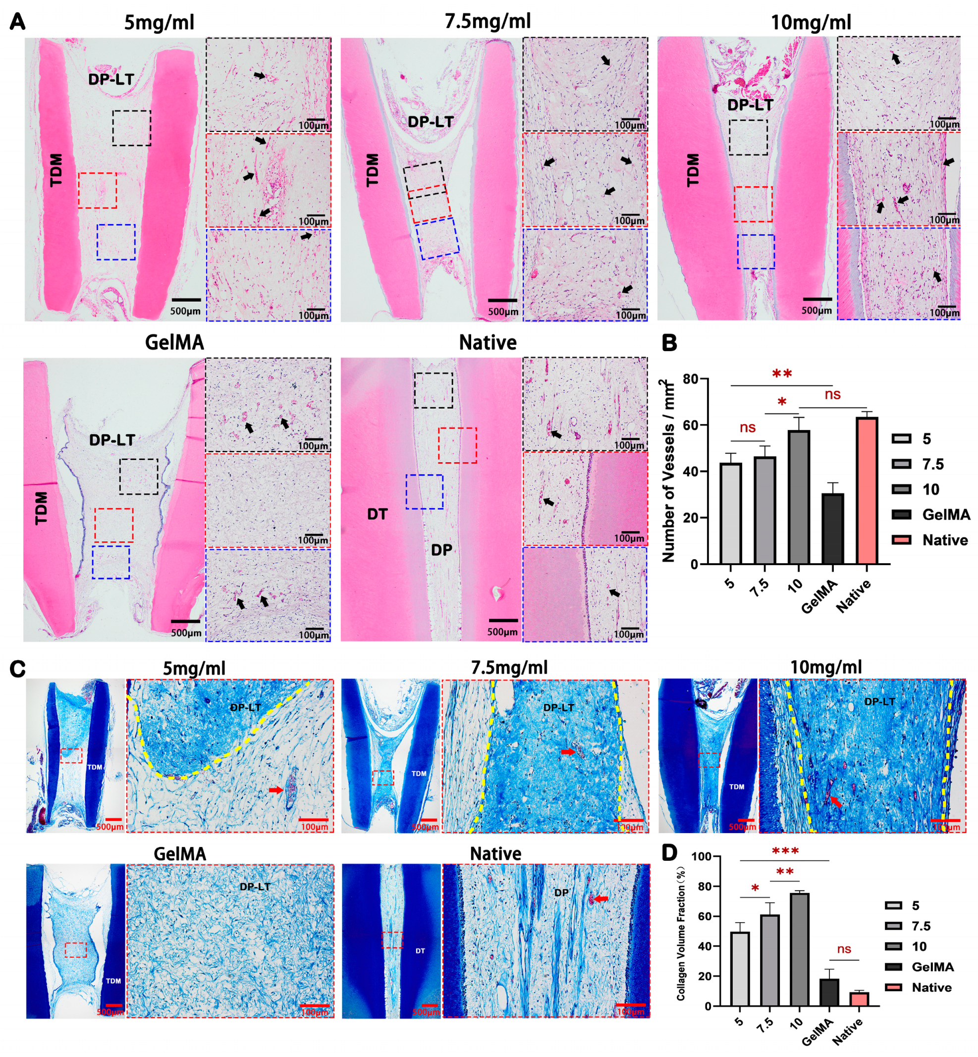 Ijms 24 17483 g005 Ijms 24 17483 g005