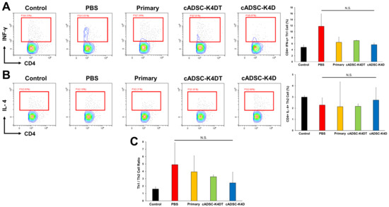 サンプル Immortalized Canine Adipose-Derived Mesenchymal Stem Cells