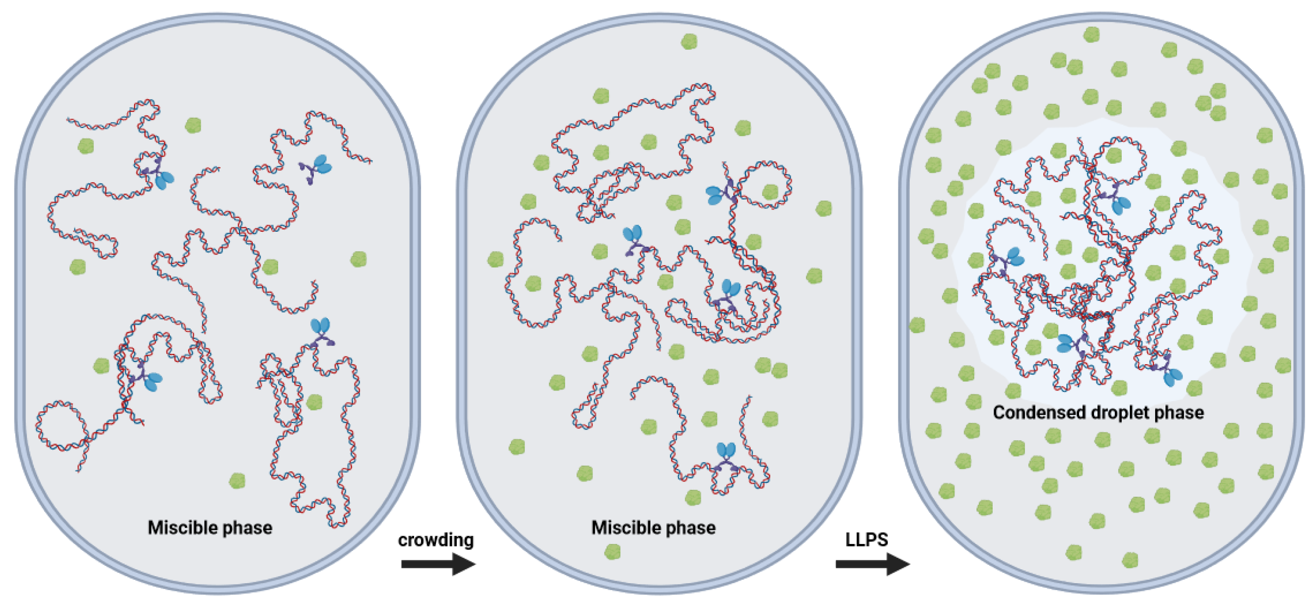 Ijms 24 17502 g001 Ijms 24 17502 g001