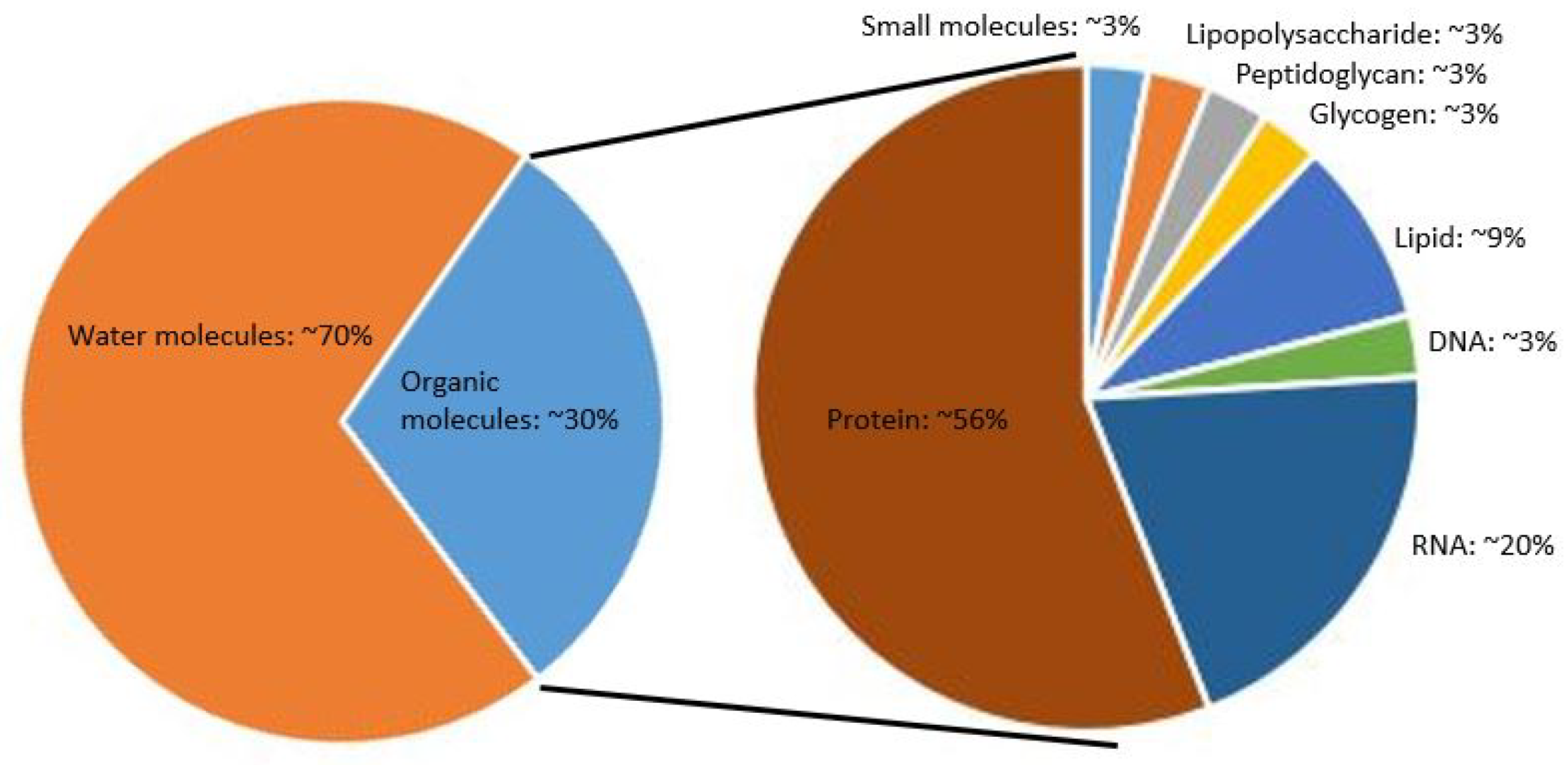 Ijms 24 17502 g002 Ijms 24 17502 g002