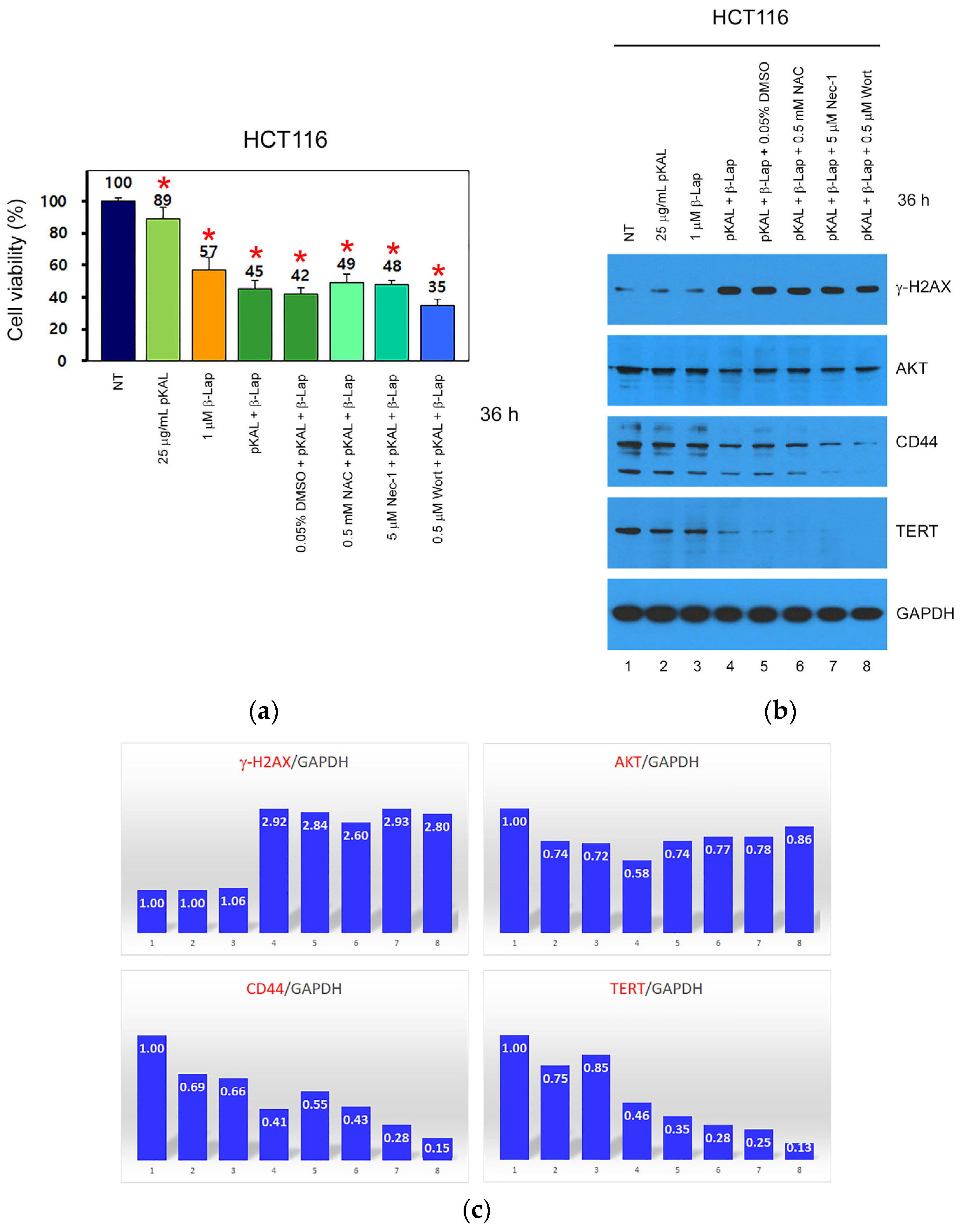 Ijms 24 17505 g002 Ijms 24 17505 g002