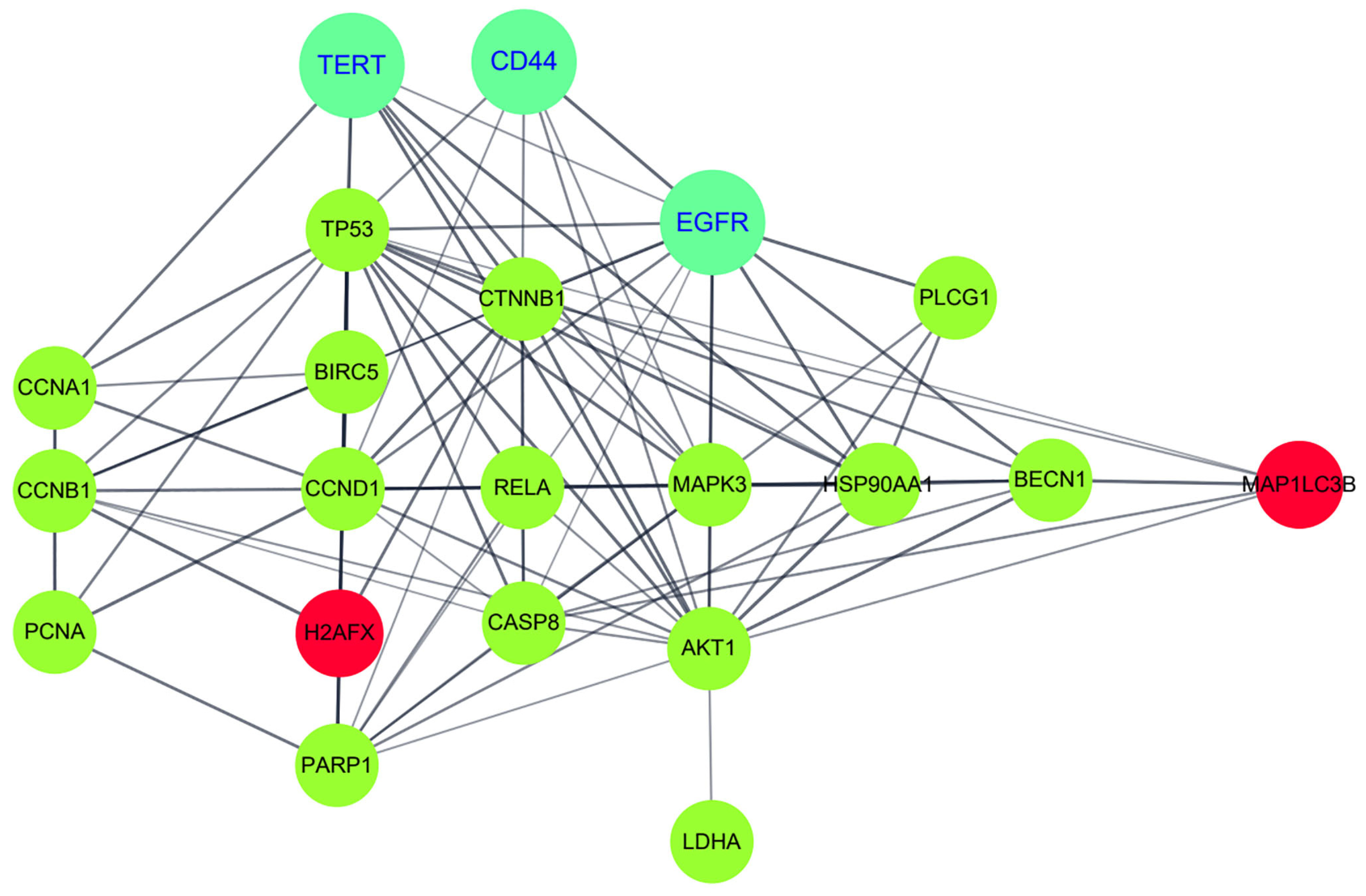 Ijms 24 17505 g008 Ijms 24 17505 g008