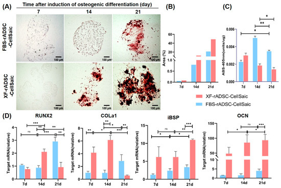 Ijms | free full-text | evaluation of osteogenic potential for rat