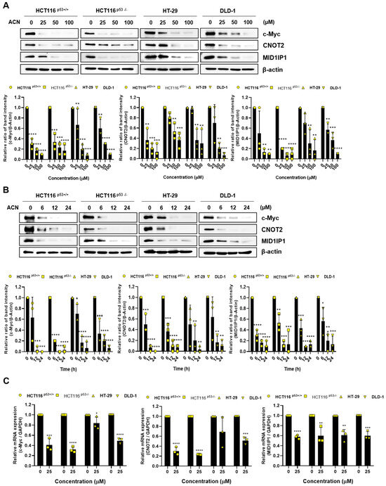 Acetylcorynoline Induces Apoptosis and G2/M Phase Arrest through the c ...