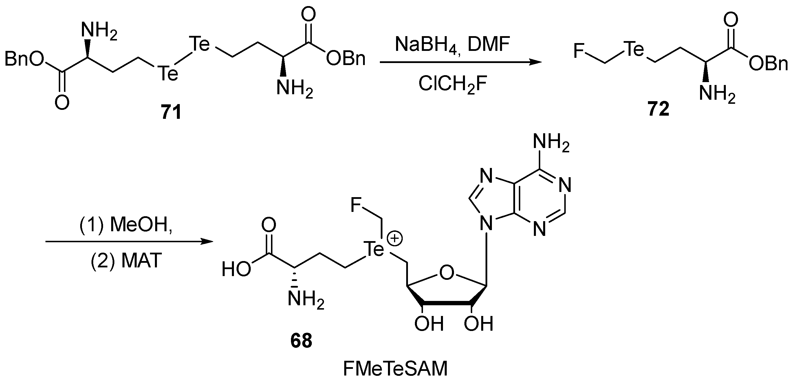 Ijms 24 17593 sch038