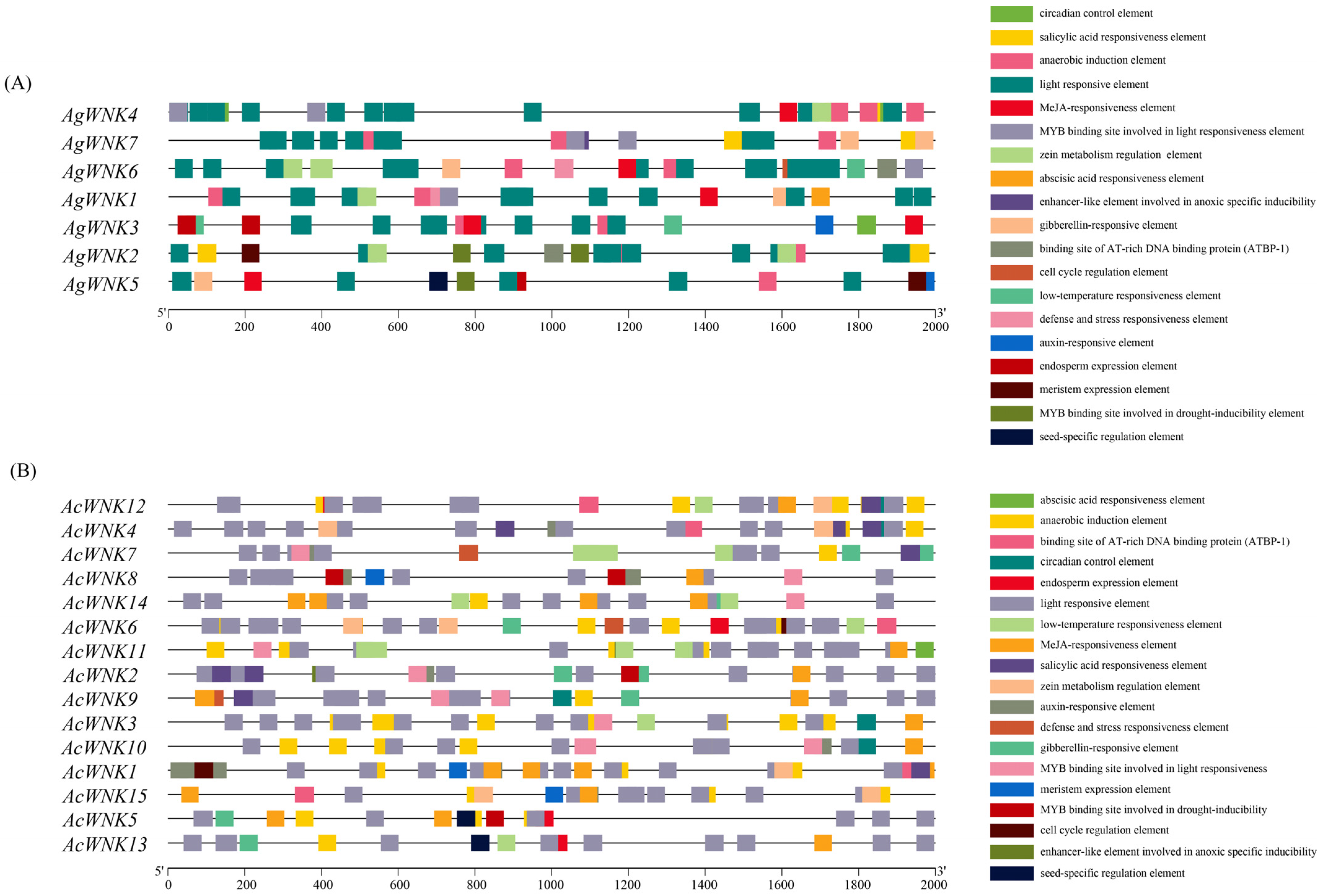 Ijms 24 17594 g004 Ijms 24 17594 g004