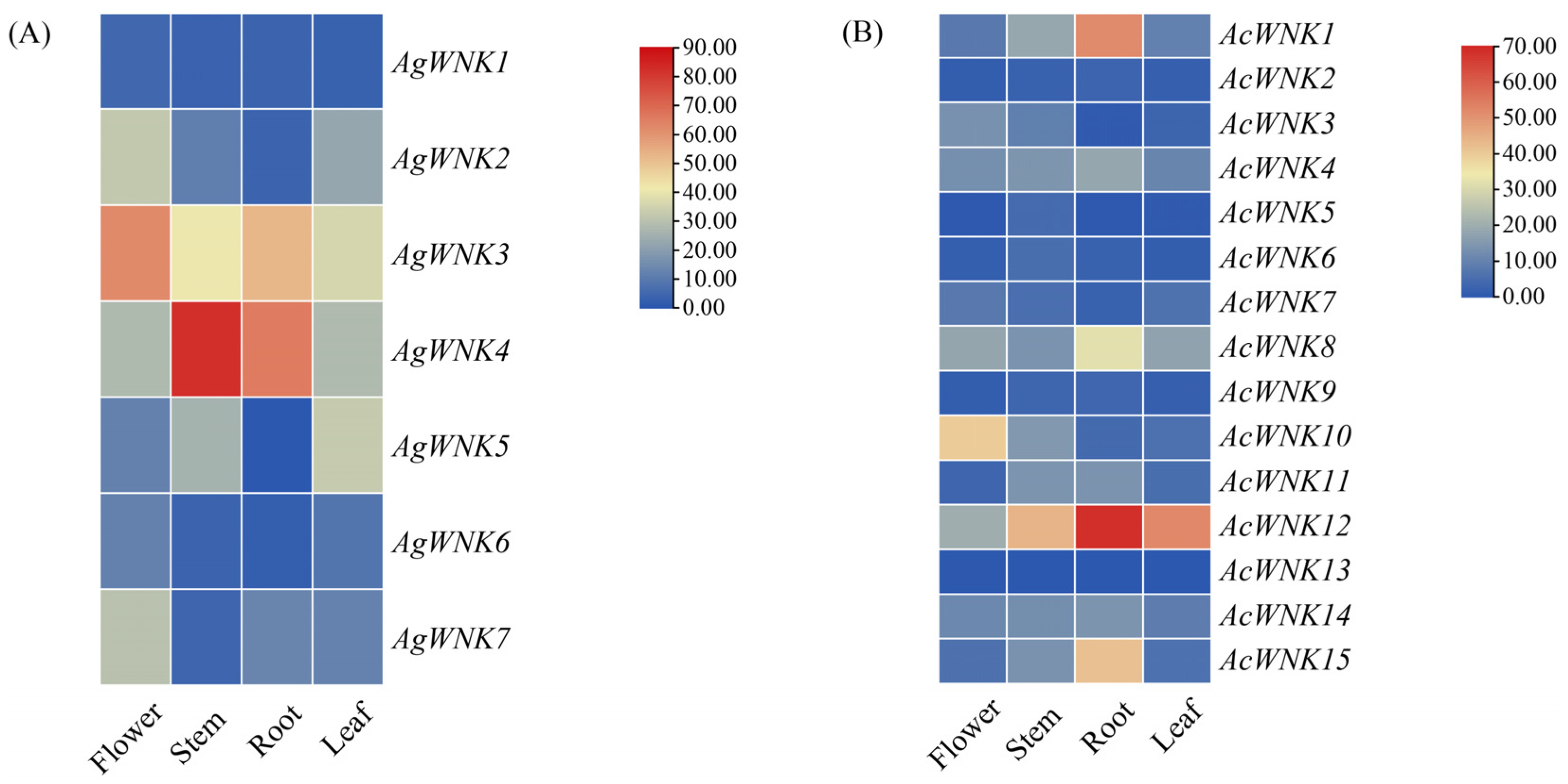 Ijms 24 17594 g005 Ijms 24 17594 g005