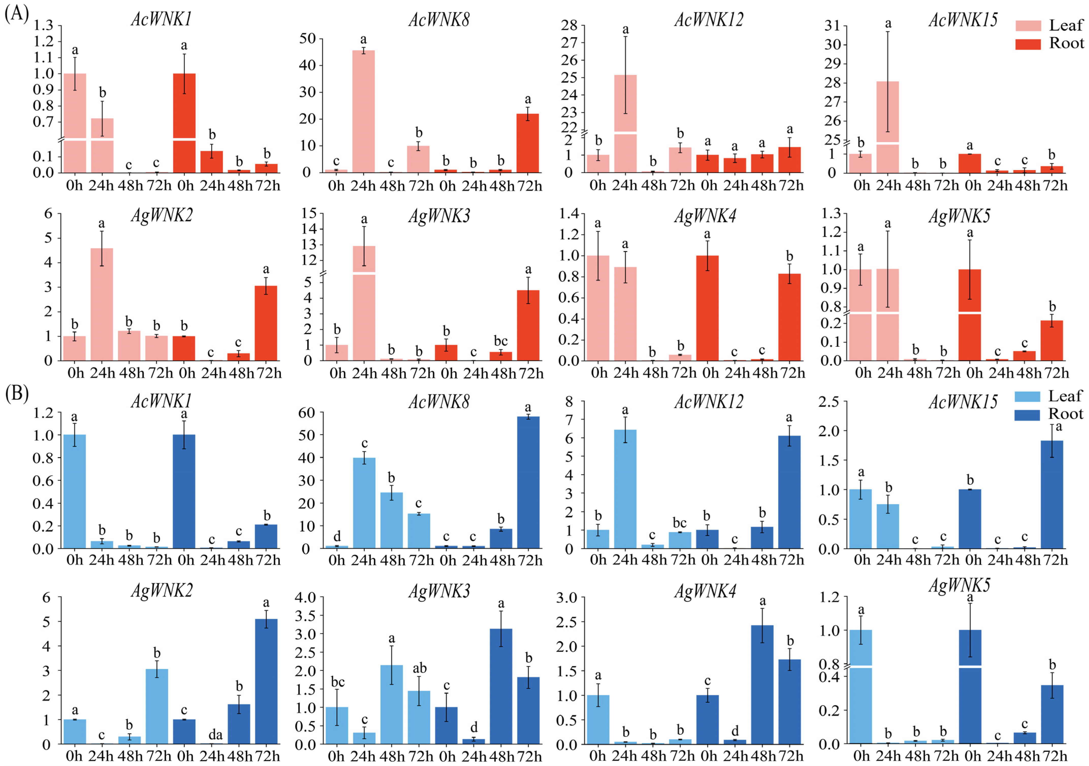 Ijms 24 17594 g006 Ijms 24 17594 g006