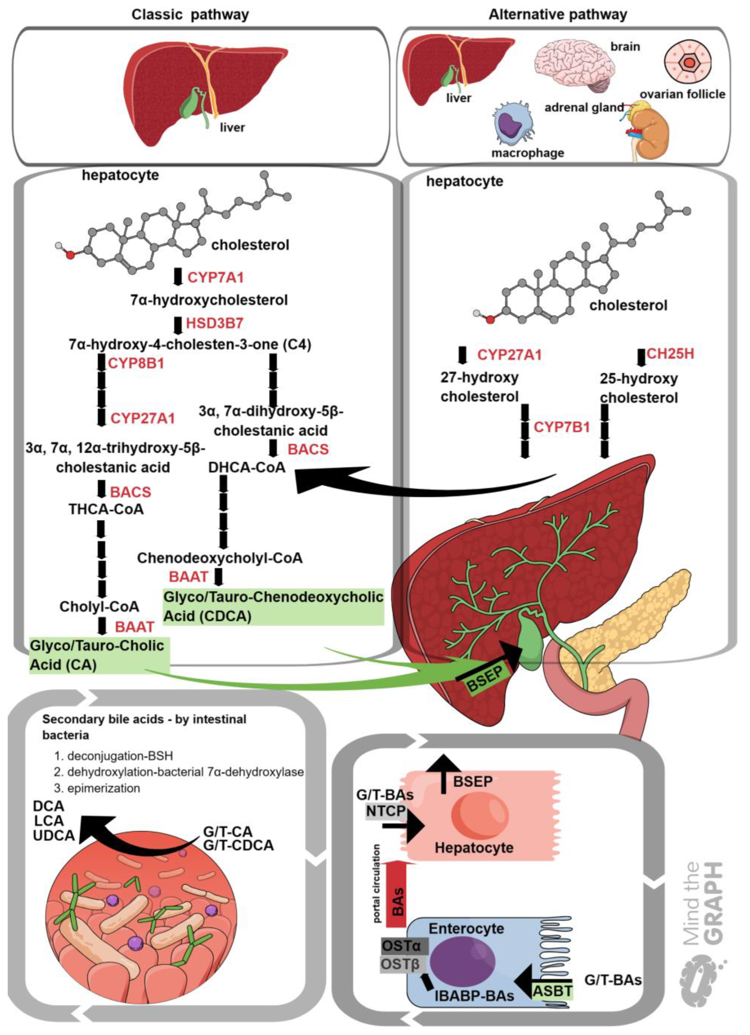Ijms 25 00006 g001 Ijms 25 00006 g001