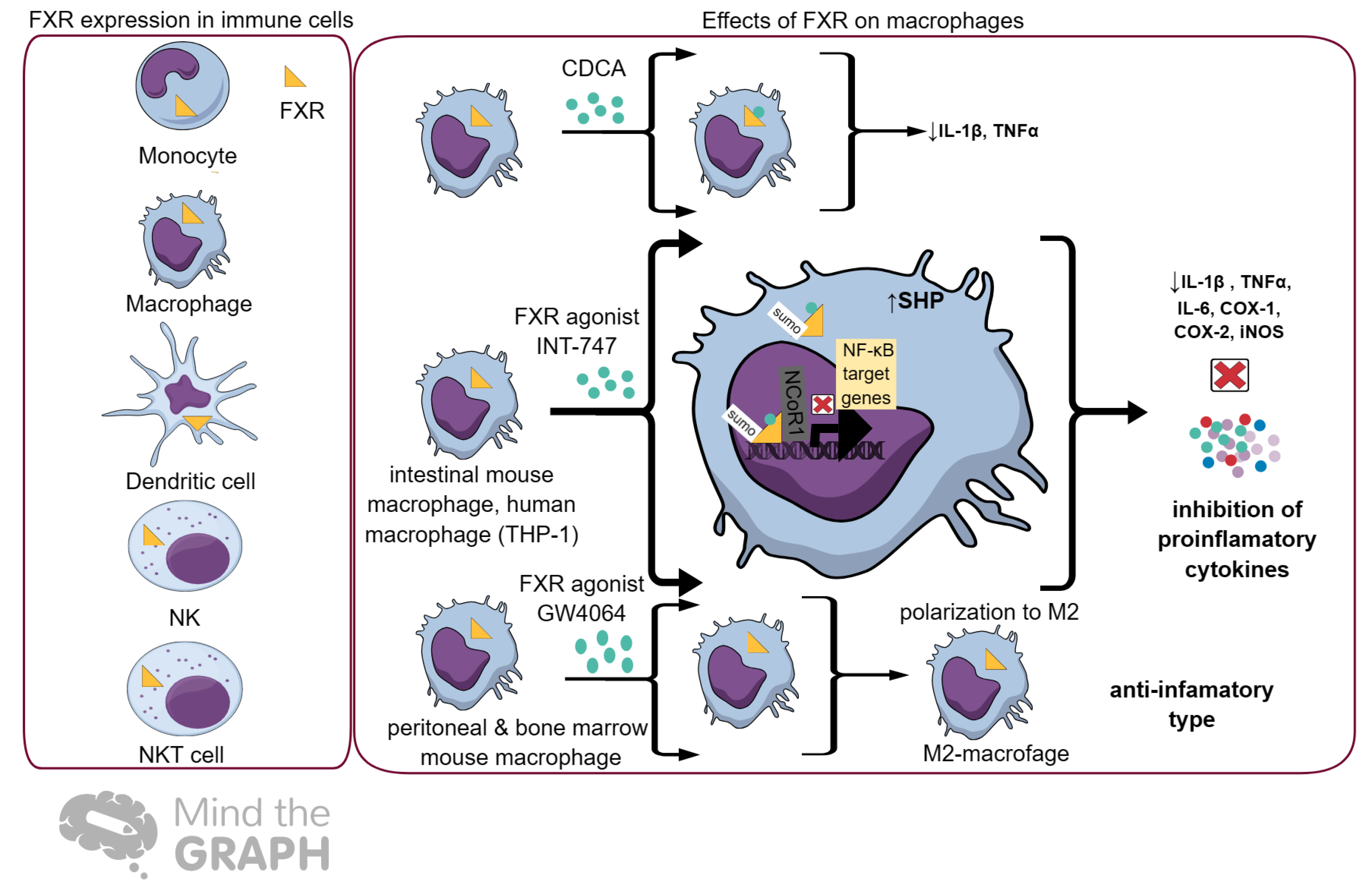 Ijms 25 00006 g002 Ijms 25 00006 g002