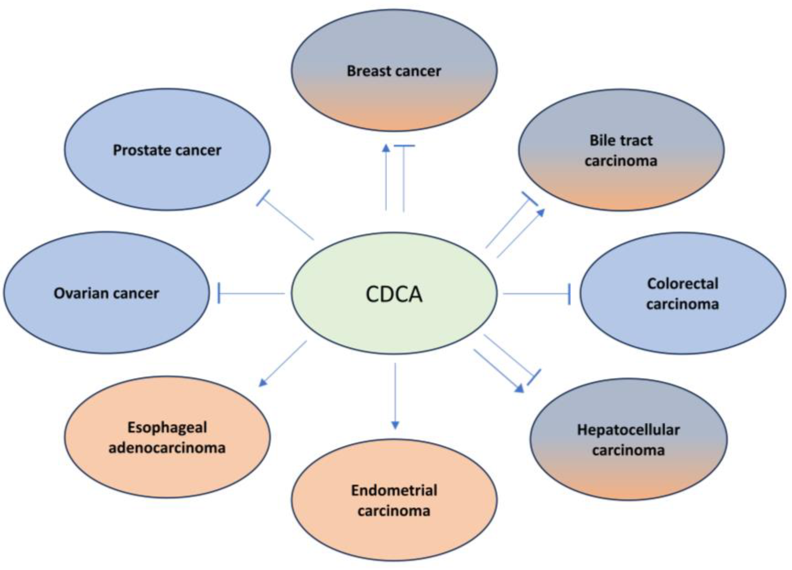 Ijms 25 00006 g003 Ijms 25 00006 g003