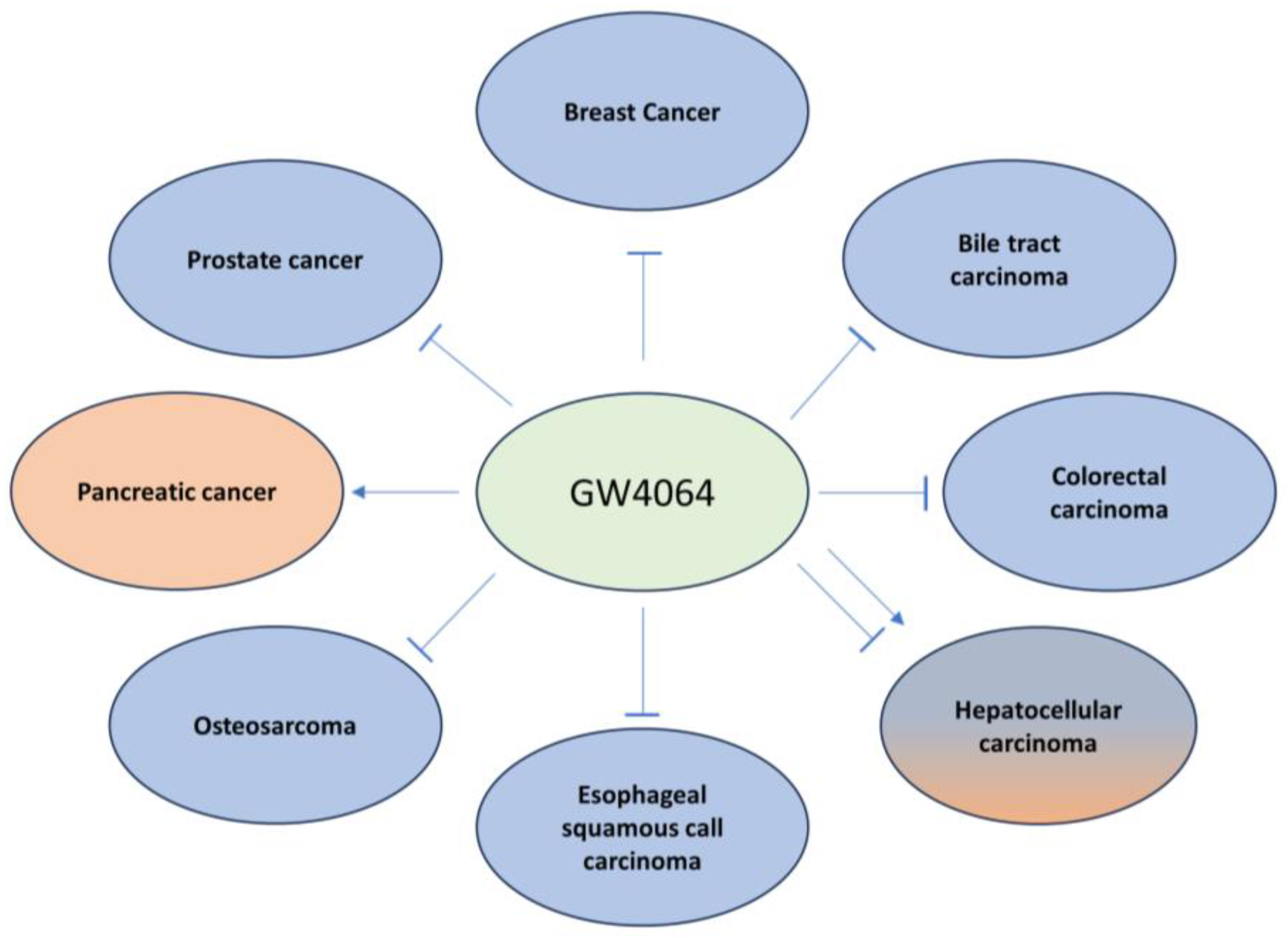 Ijms 25 00006 g004 Ijms 25 00006 g004