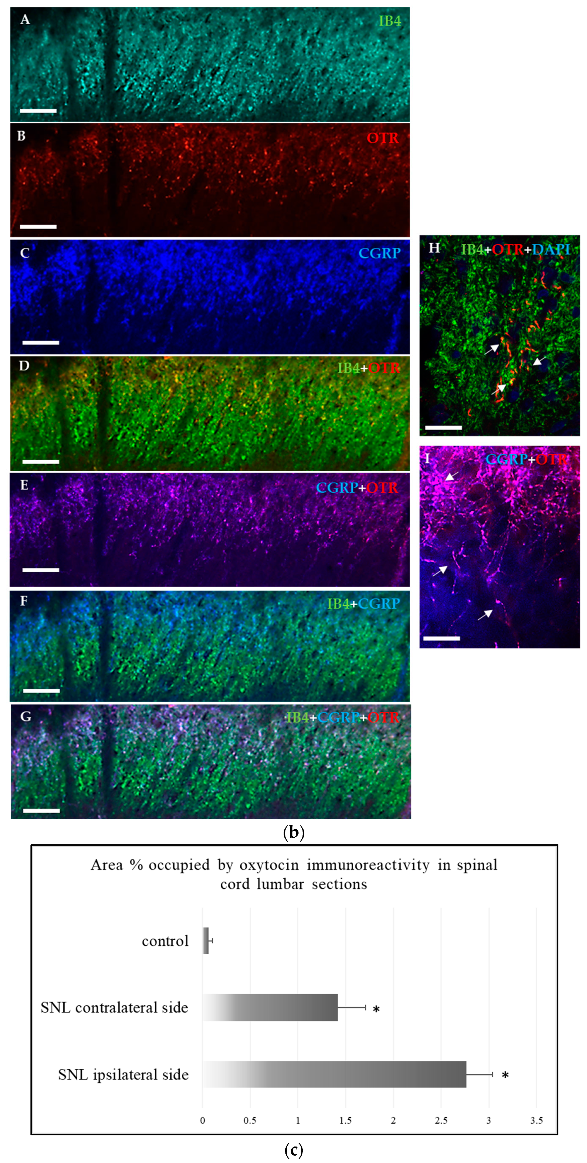 Ijms 25 00007 g002b Ijms 25 00007 g002b