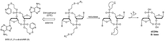 Dithioethanol (DTE)-Conjugated Deoxyribose Cyclic