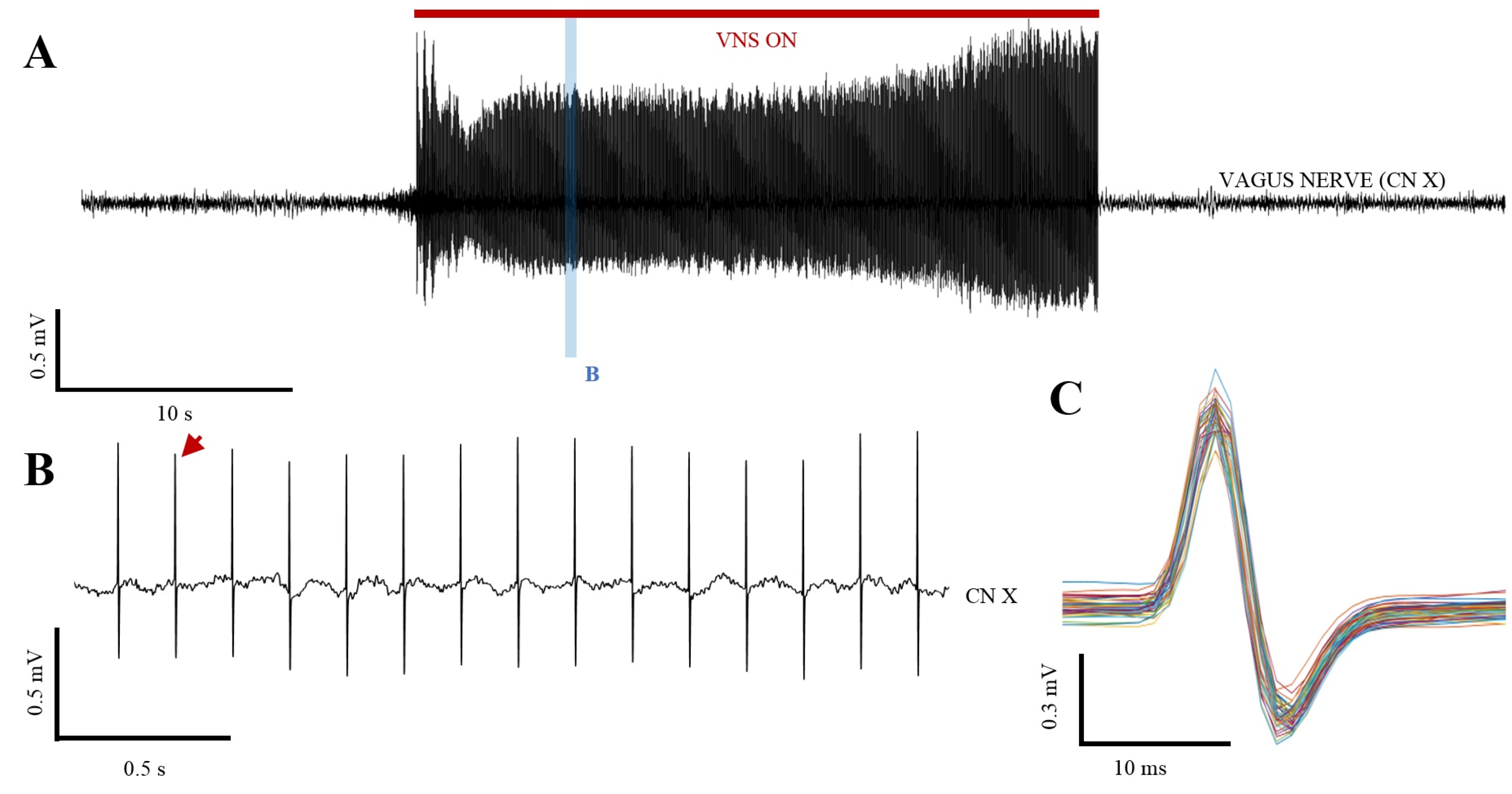 Ijms 25 00091 g006 Ijms 25 00091 g006