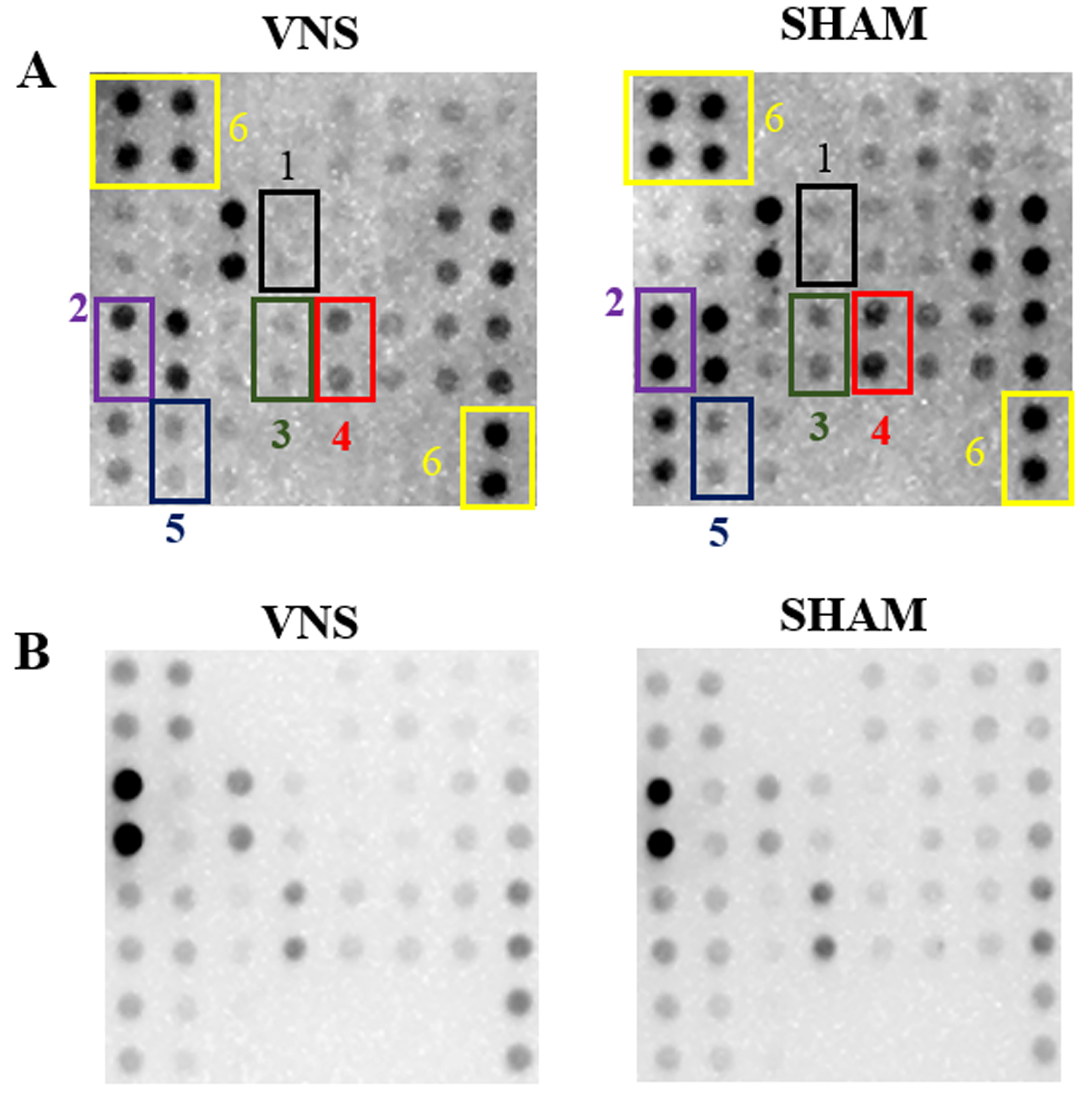 Ijms 25 00091 g009 Ijms 25 00091 g009