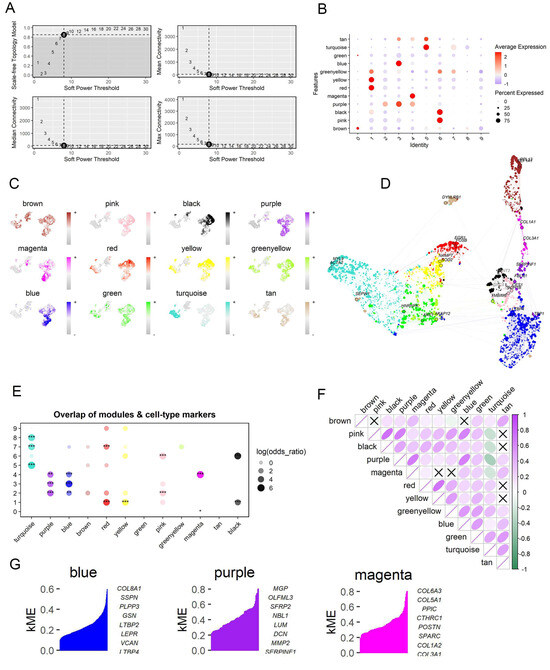 Machine Learning Cell Subtype Machine Learning and Single-Cell Analysis Identify Molecular Features ...