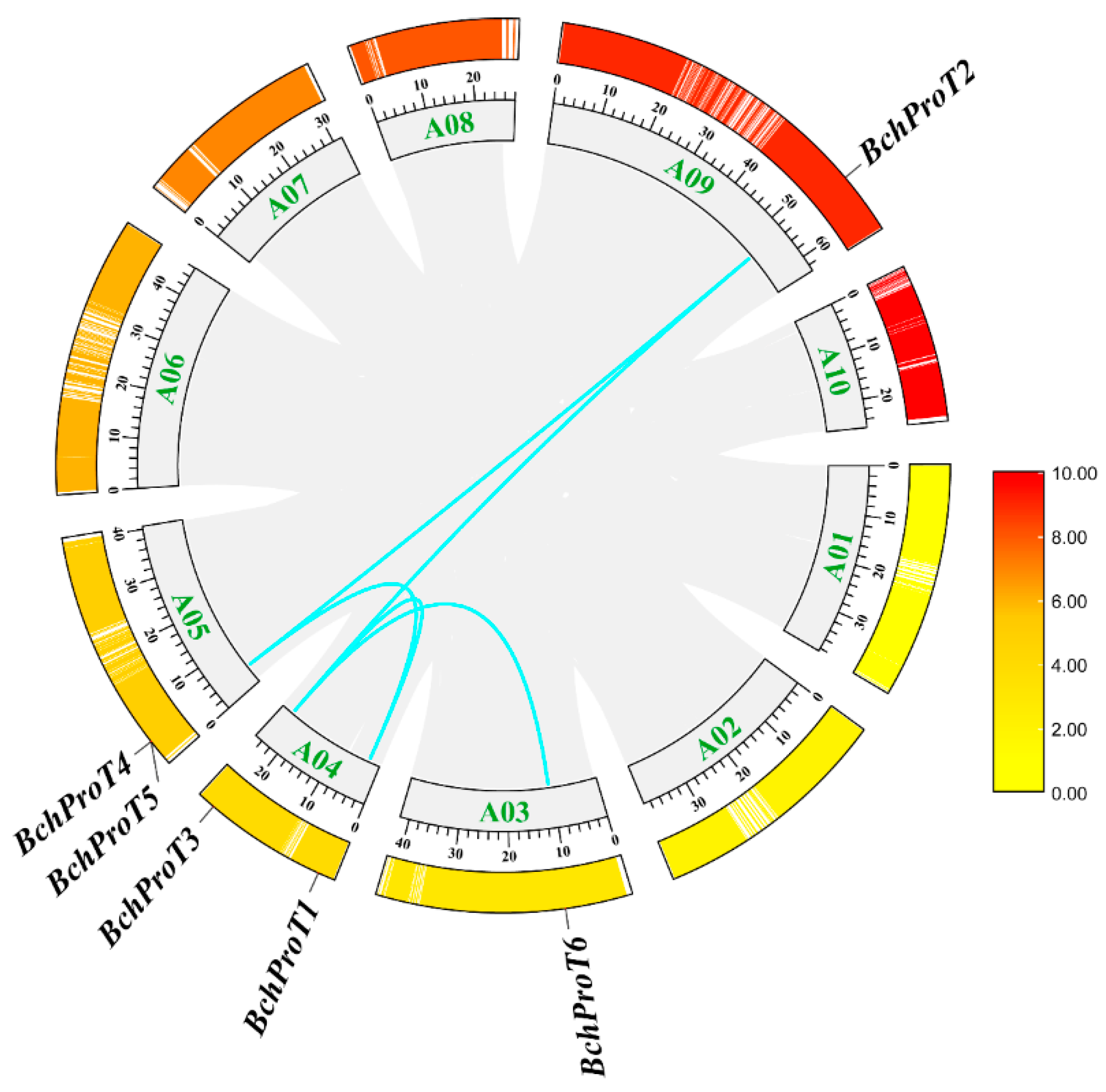 Gene 北京 3/11 Genome-Wide Characterization of the ABI3 Gene Family in Cotton