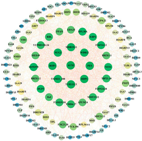 Genome-Wide Identification and Expression Analysis Reveals the B3 ...