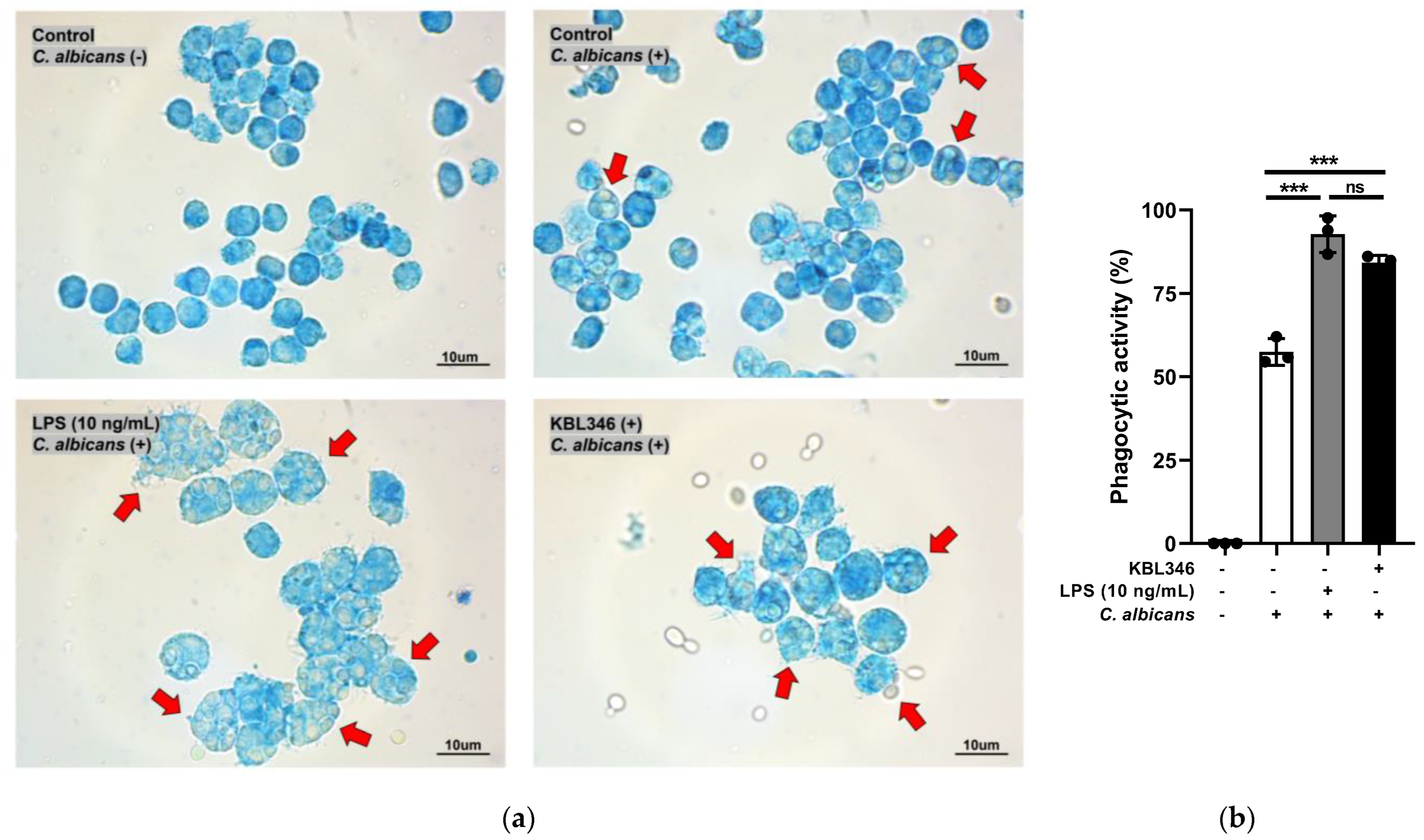 Ijms 25 00141 g001 Ijms 25 00141 g001
