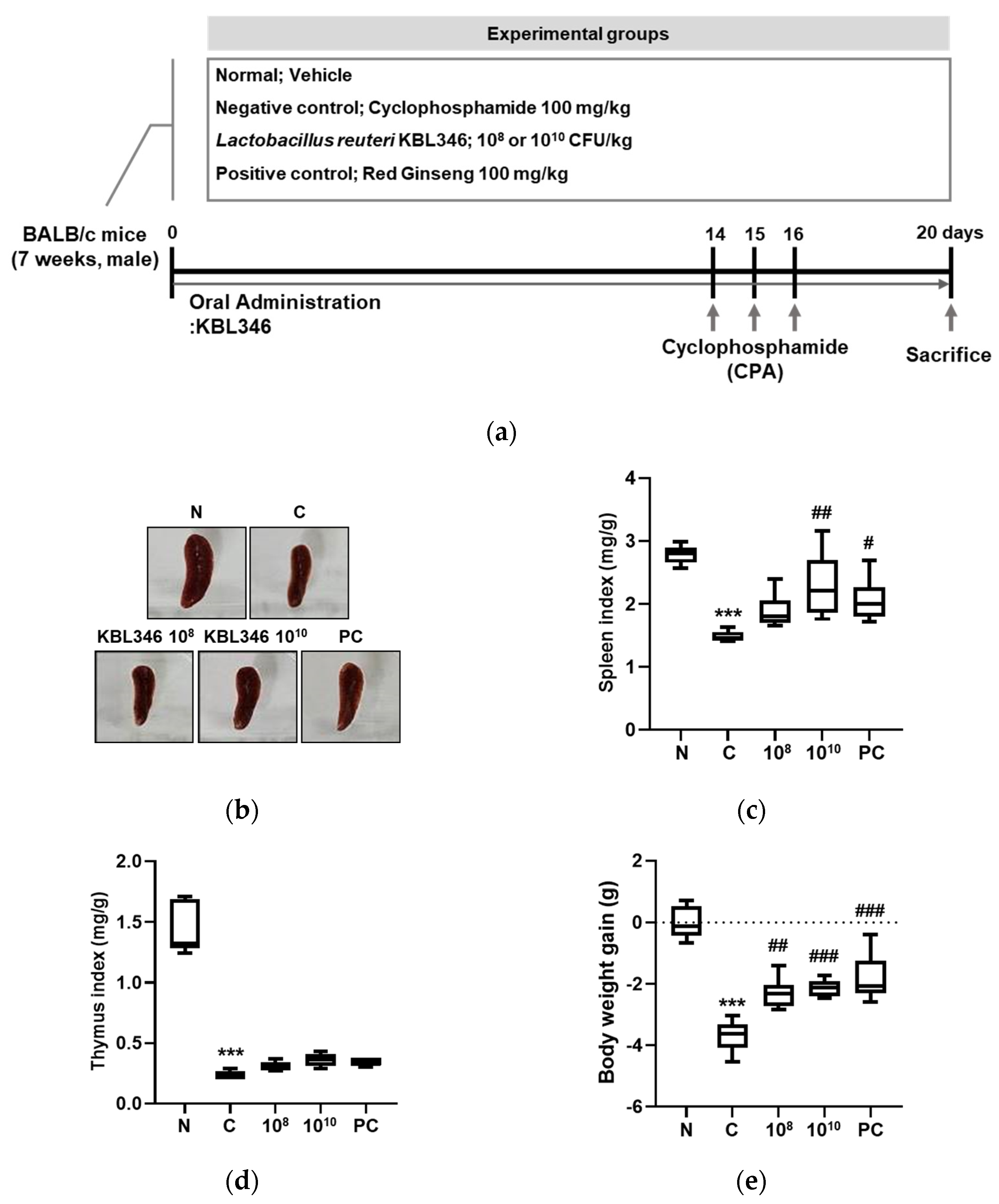 Ijms 25 00141 g005 Ijms 25 00141 g005