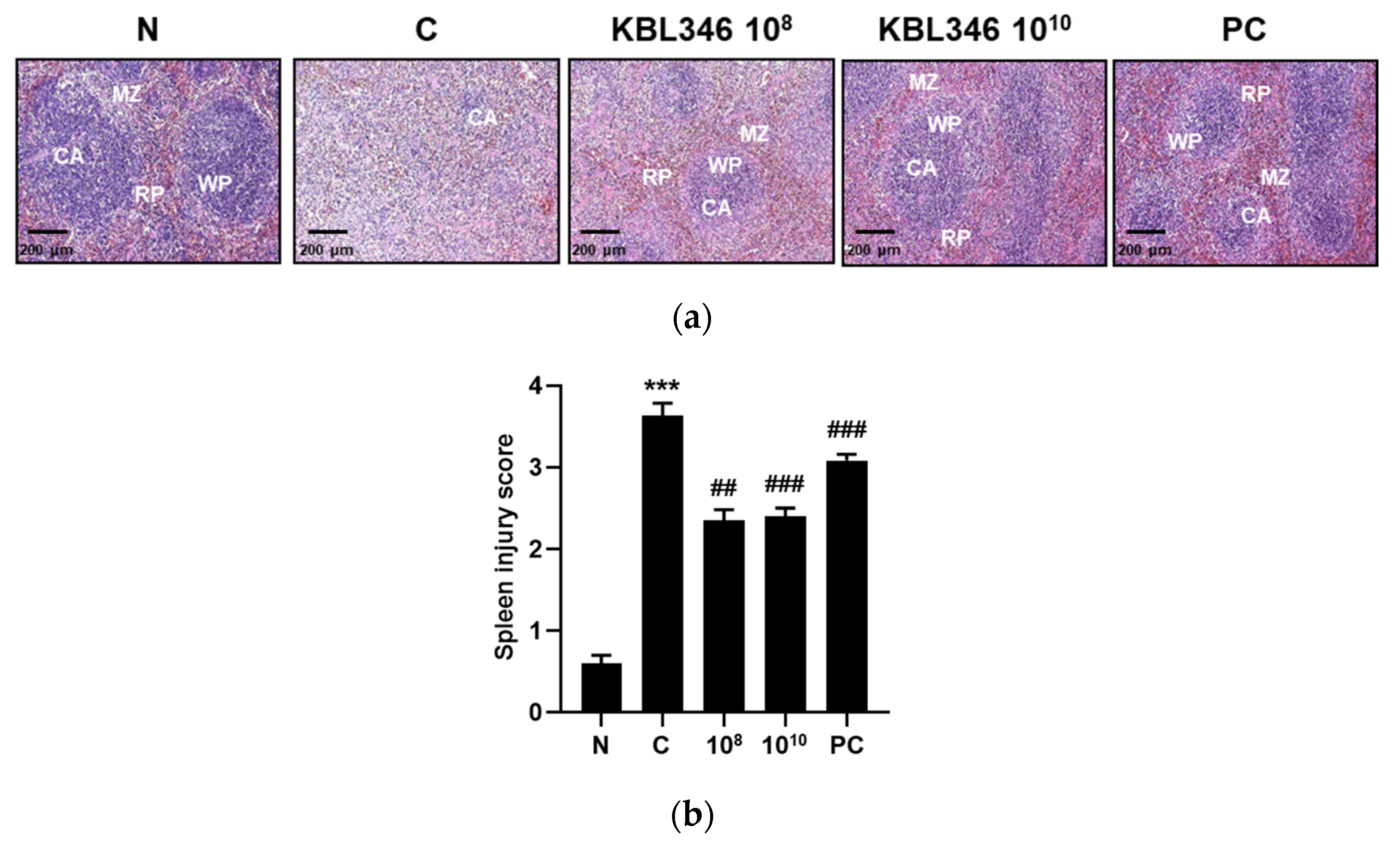 Ijms 25 00141 g006 Ijms 25 00141 g006