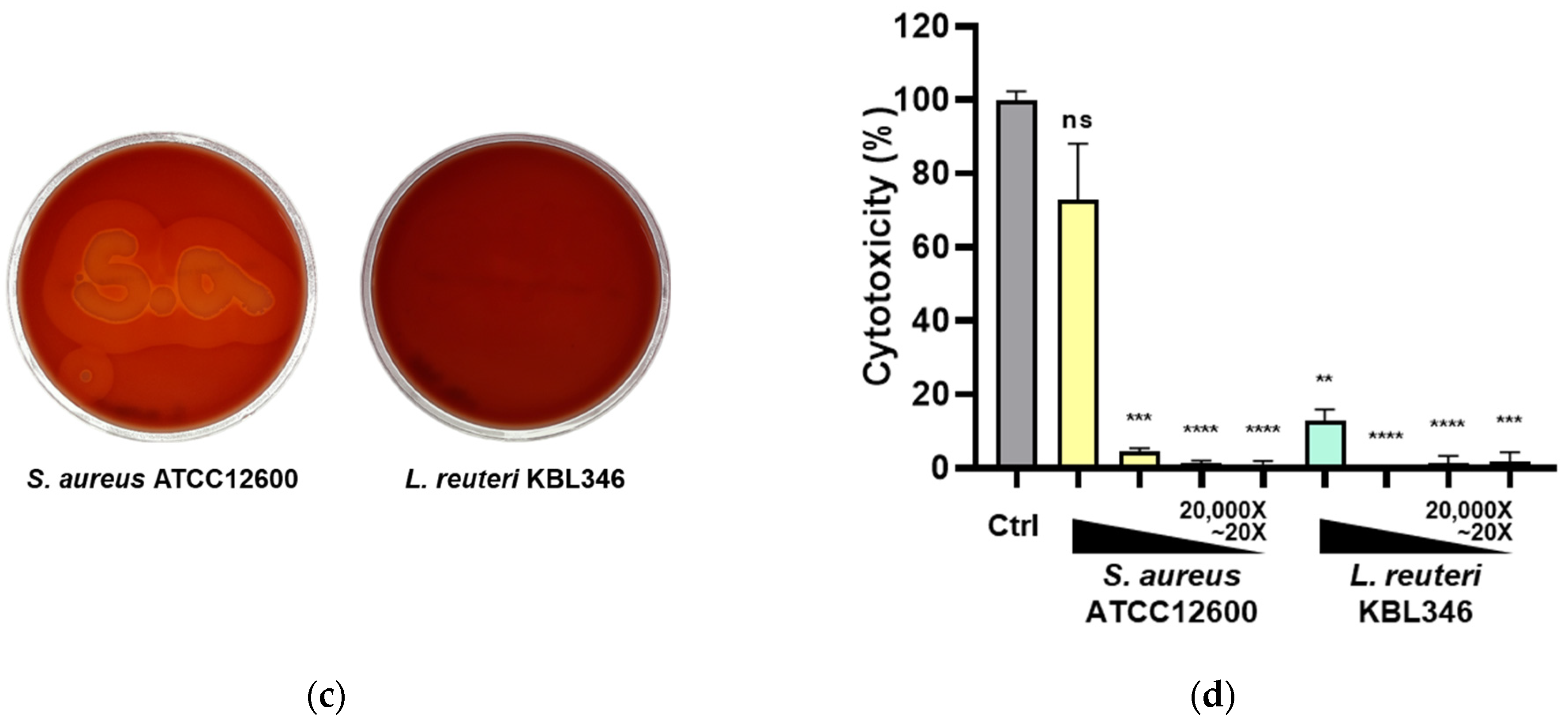 Ijms 25 00141 g012b Ijms 25 00141 g012b