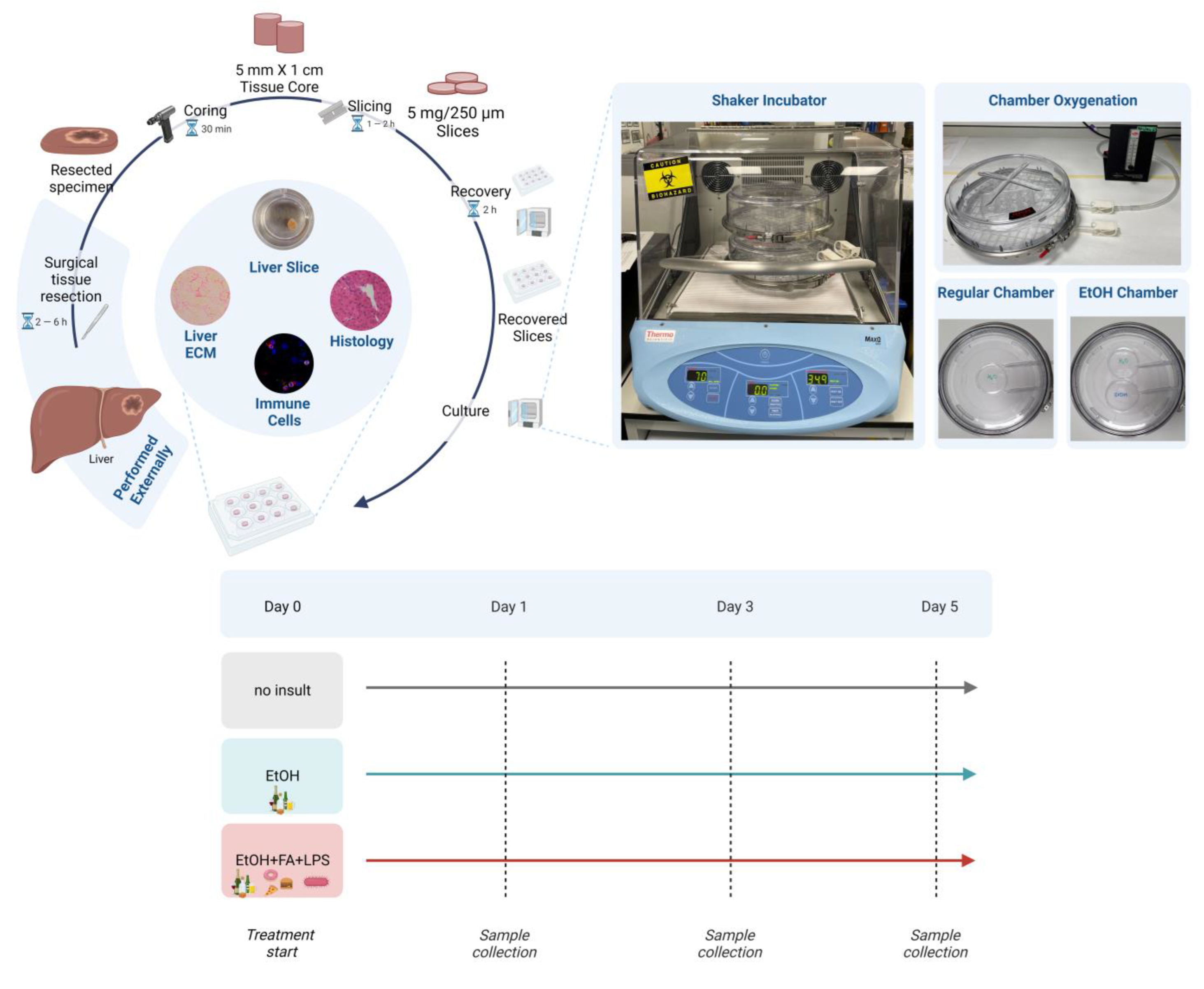 Ijms 25 00150 g001 Ijms 25 00150 g001