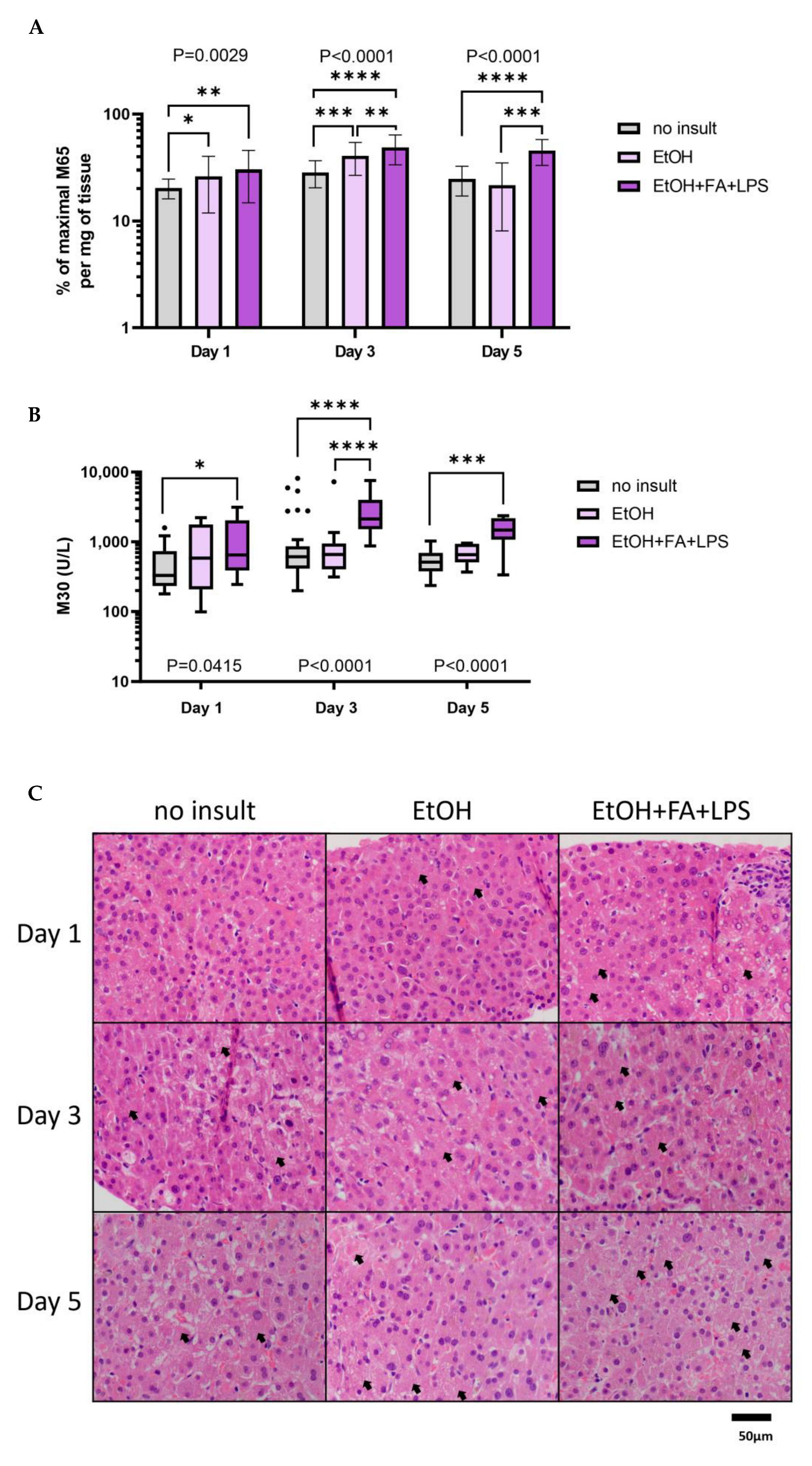 Ijms 25 00150 g005 Ijms 25 00150 g005