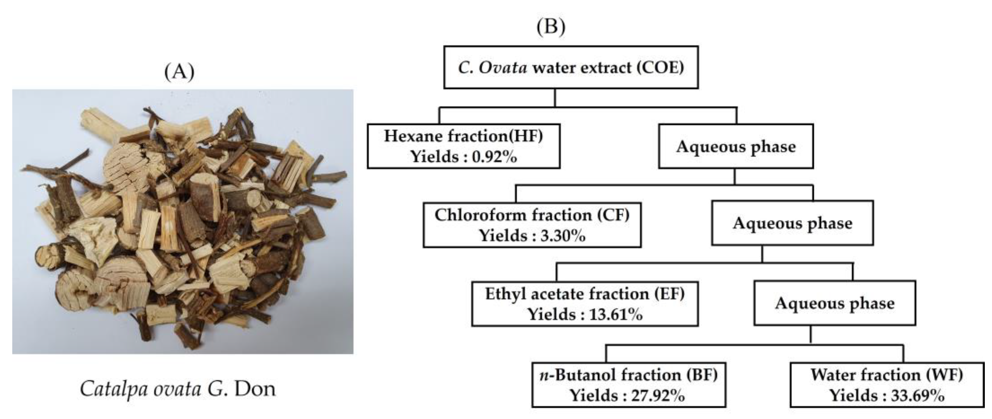 Ijms 25 00151 g001 Ijms 25 00151 g001