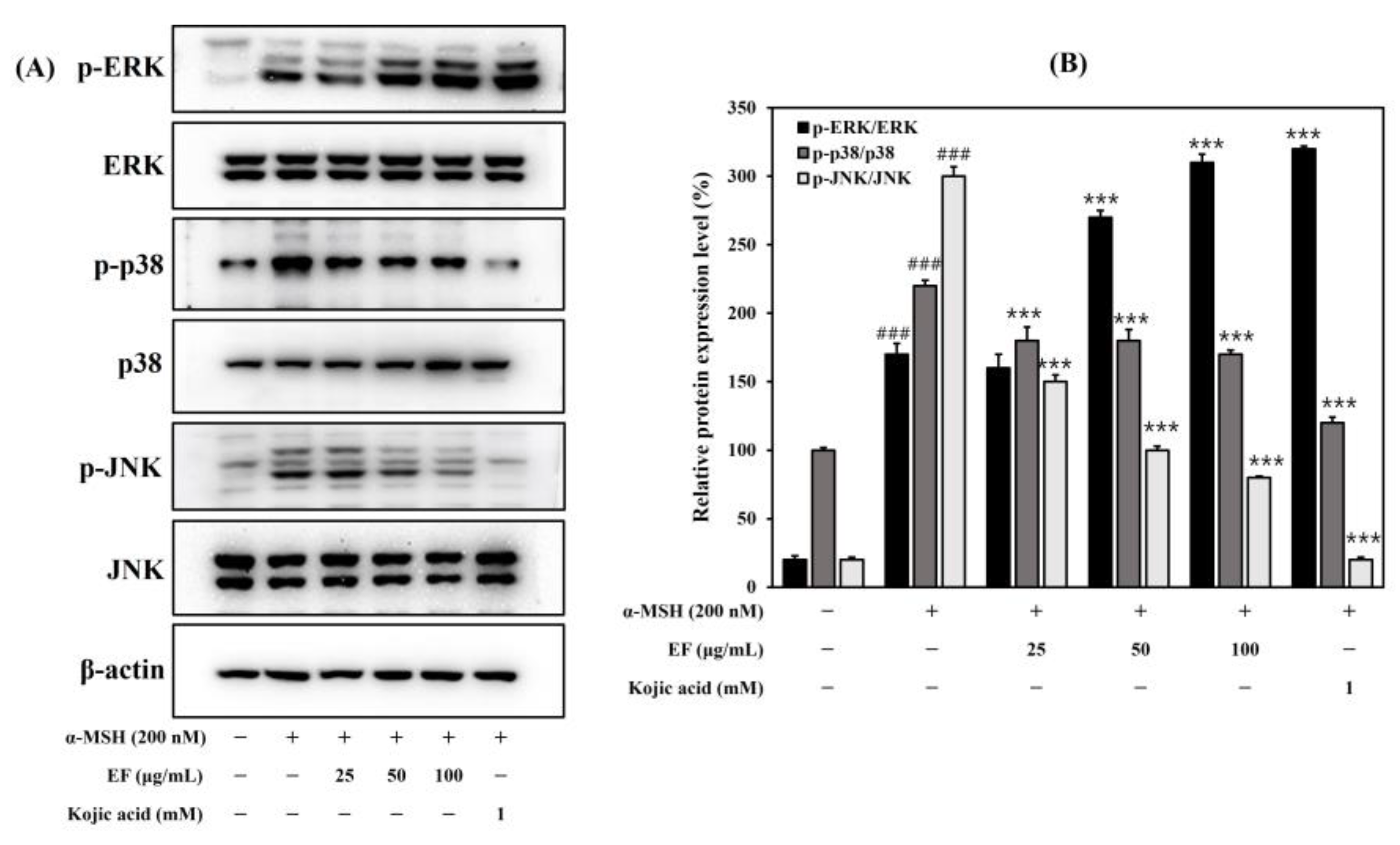 Ijms 25 00151 g005 Ijms 25 00151 g005