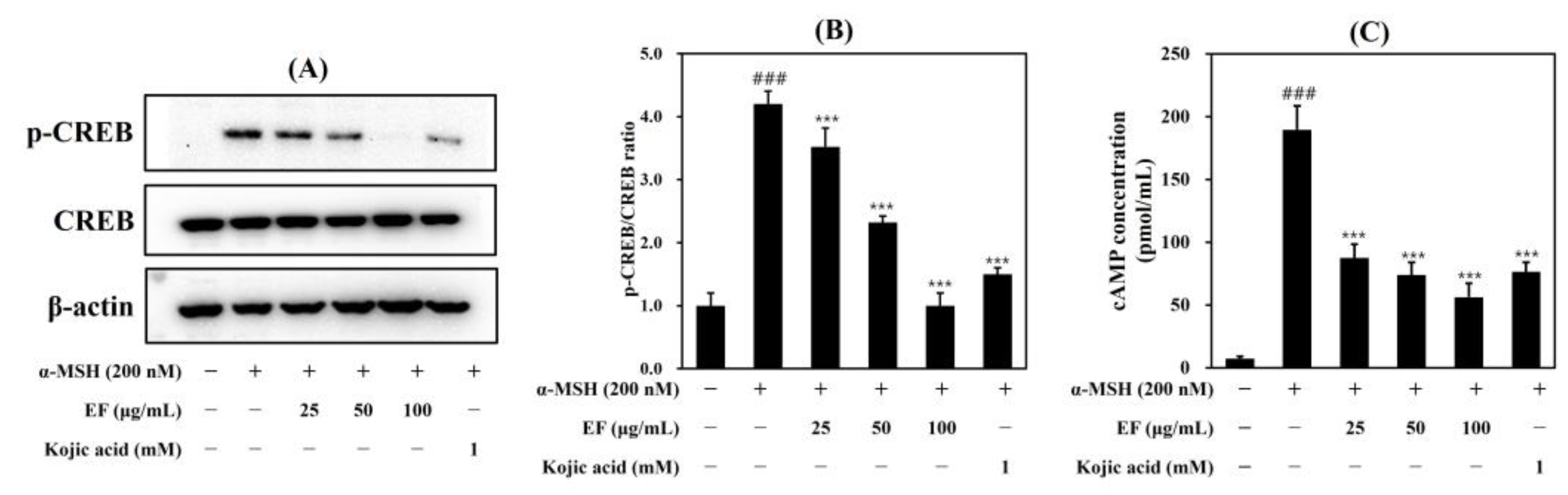 Ijms 25 00151 g007 Ijms 25 00151 g007