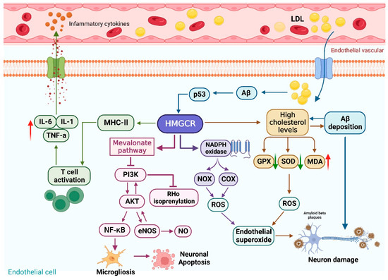 glutathione peroxidase upregulation brain cholesterol Mechanisms of 3-Hydroxyl 3-Methylglutaryl CoA Reductase in Alzheimer's  Disease