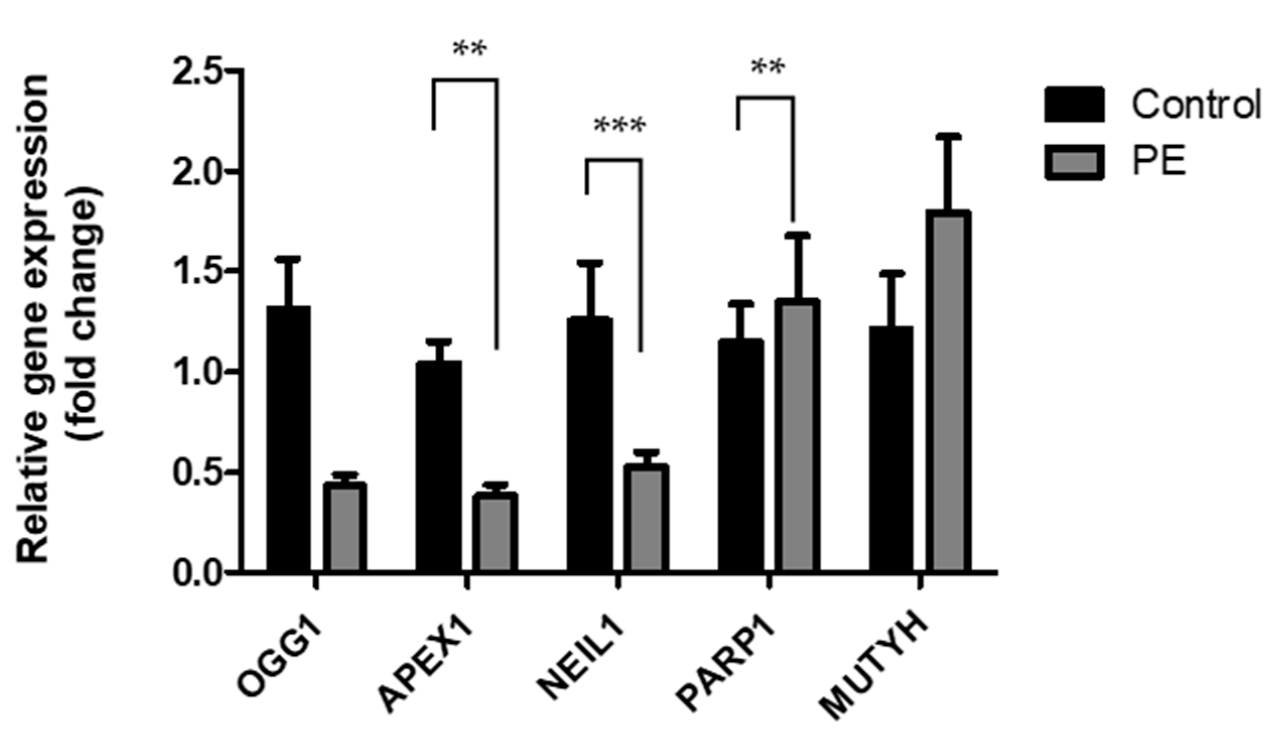Ijms 25 00187 g005 Ijms 25 00187 g005