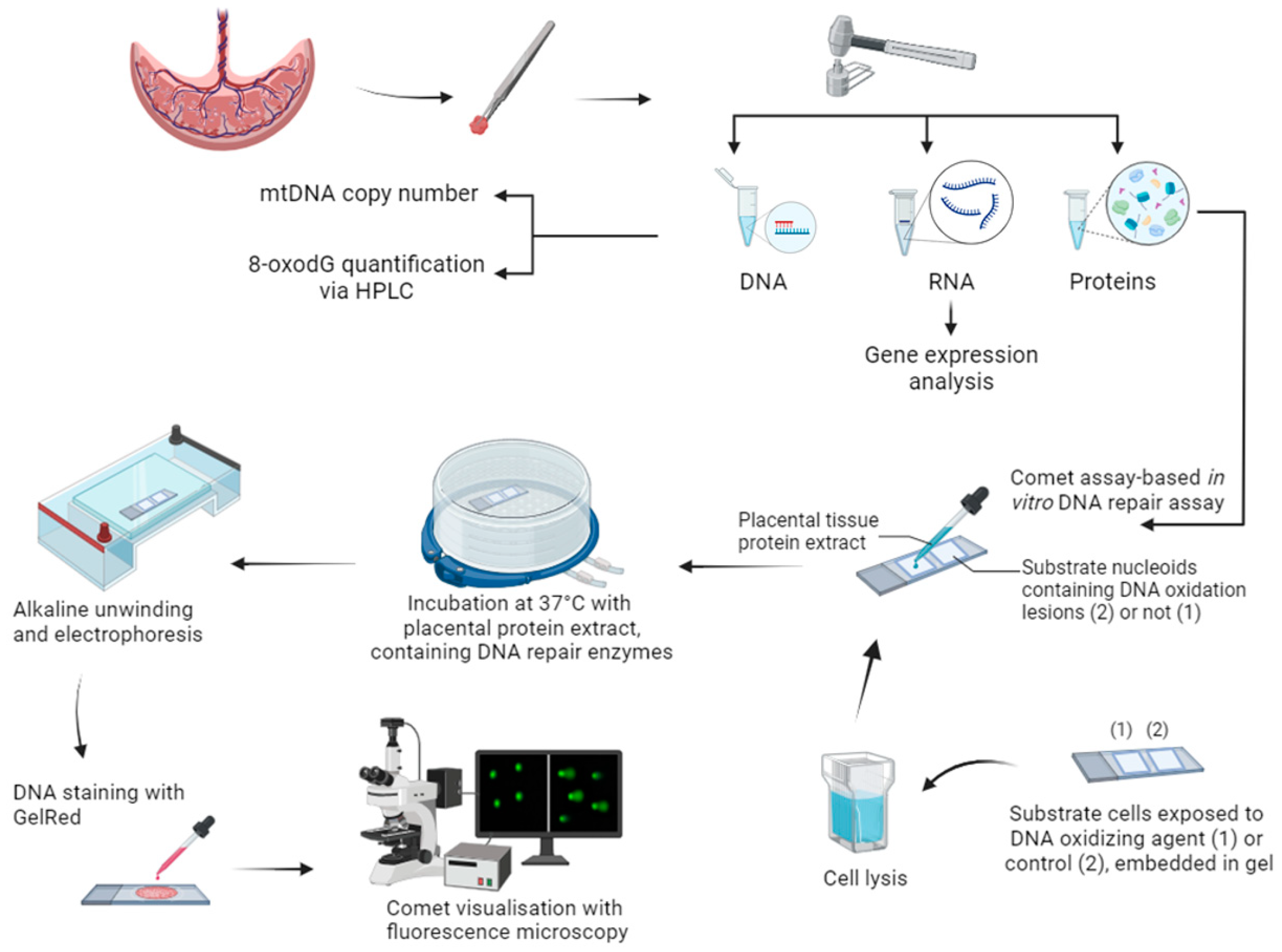 Ijms 25 00187 g009 Ijms 25 00187 g009