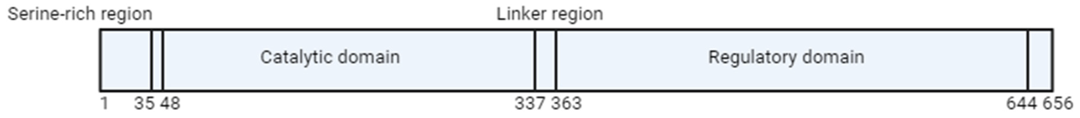 Ijms 25 00193 g002 Ijms 25 00193 g002