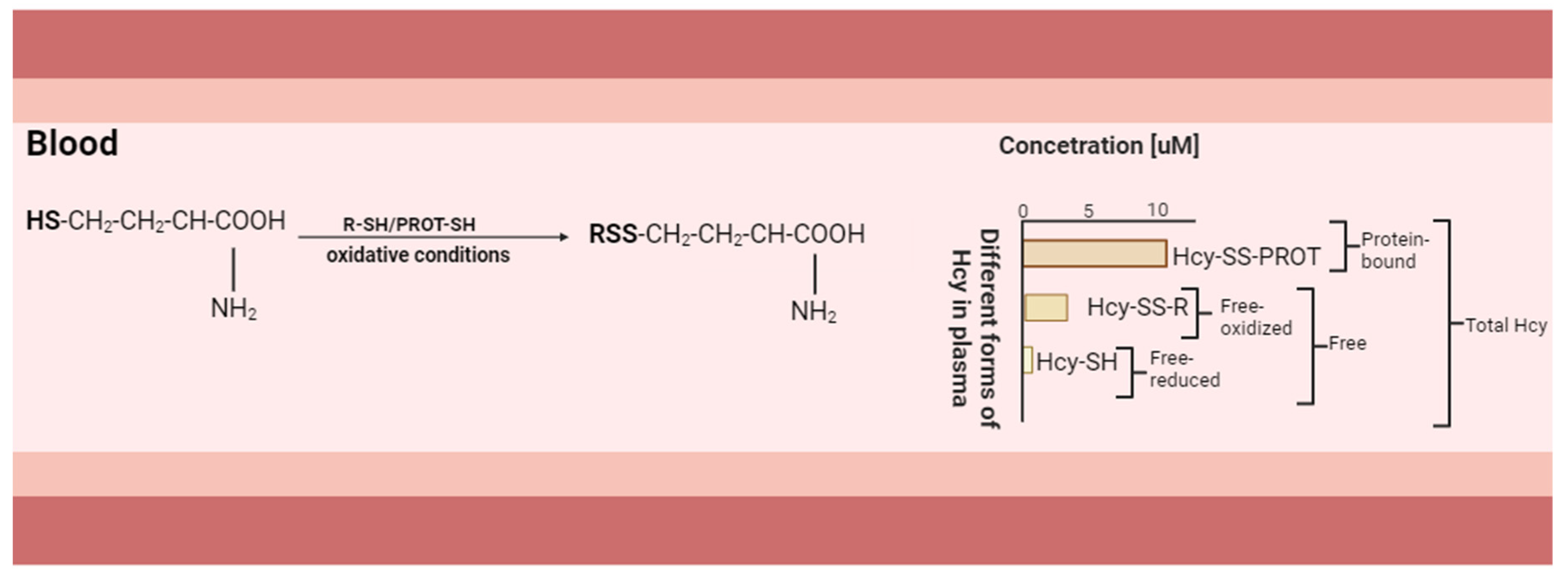Ijms 25 00193 g003 Ijms 25 00193 g003